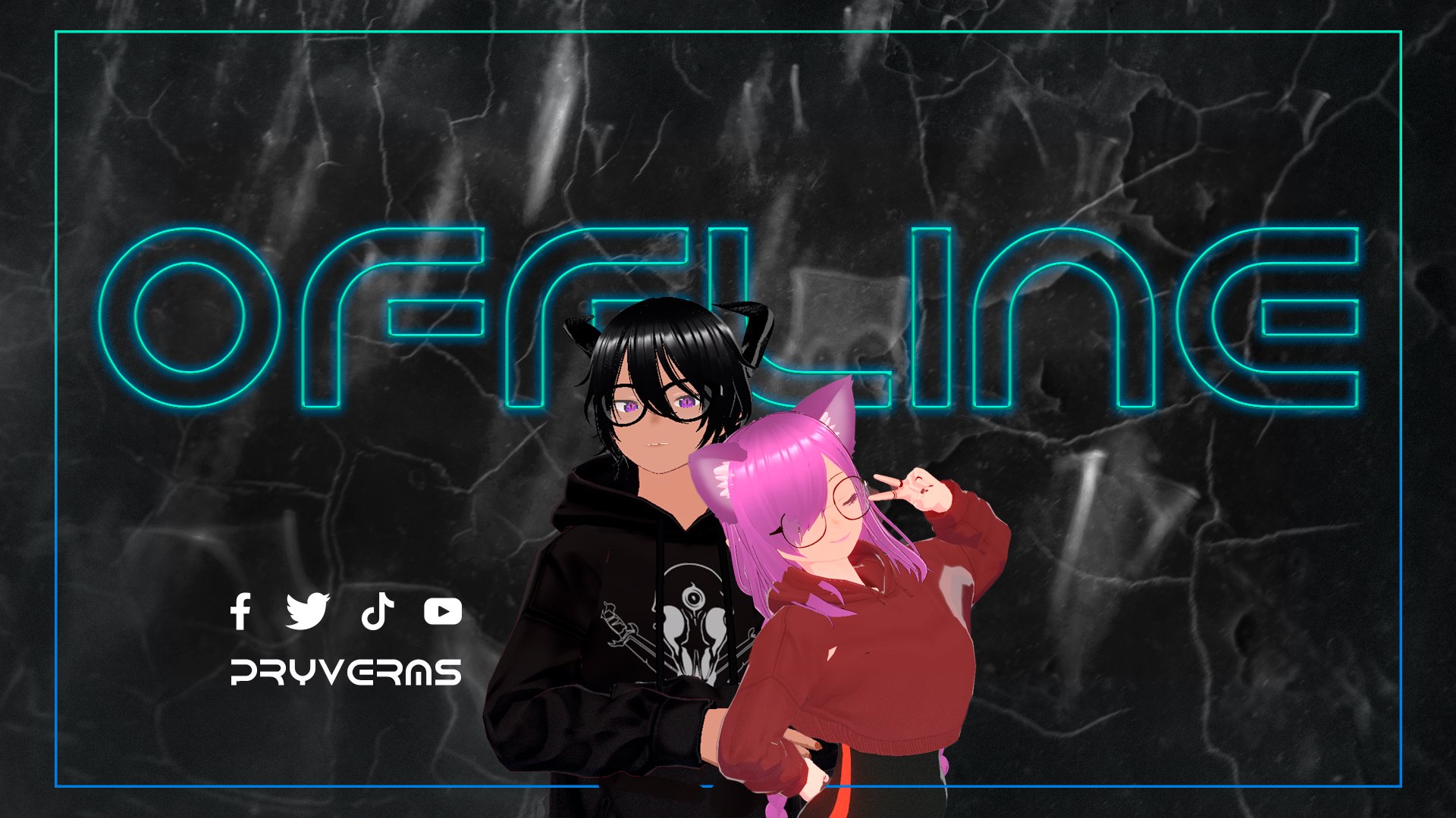 pryverms banner