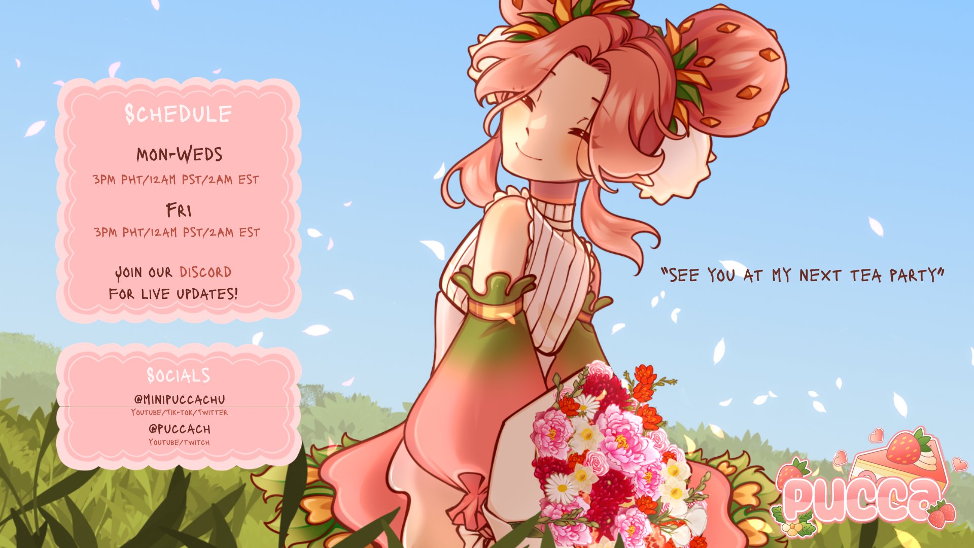 PuccaCh banner