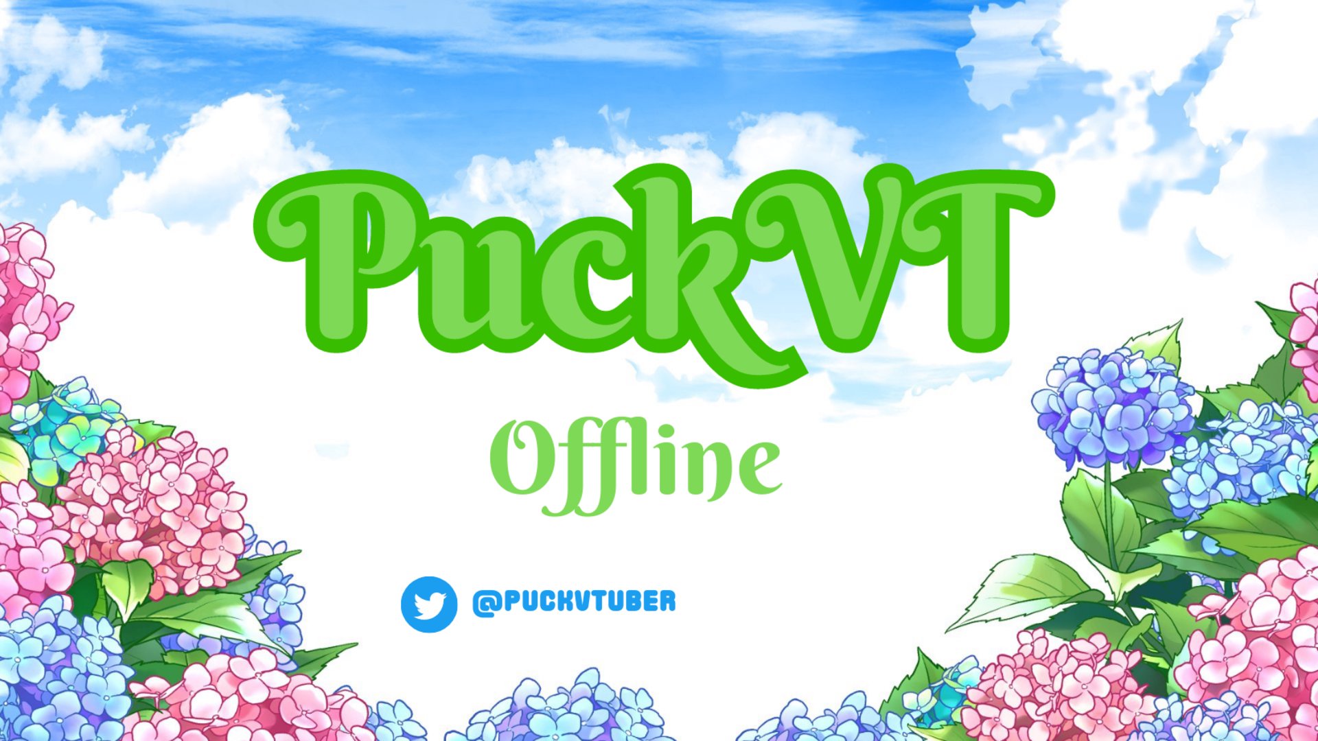PuckVT banner