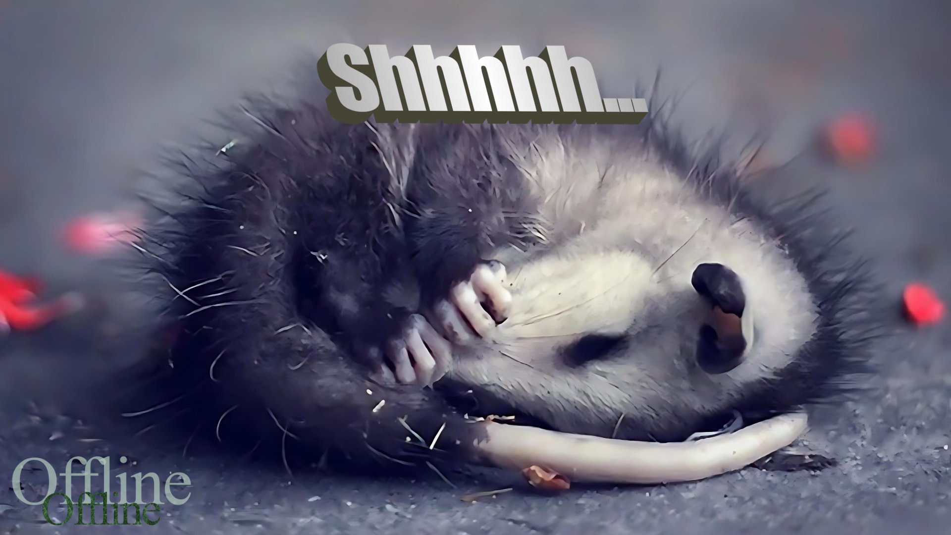 puffpuffpossum banner