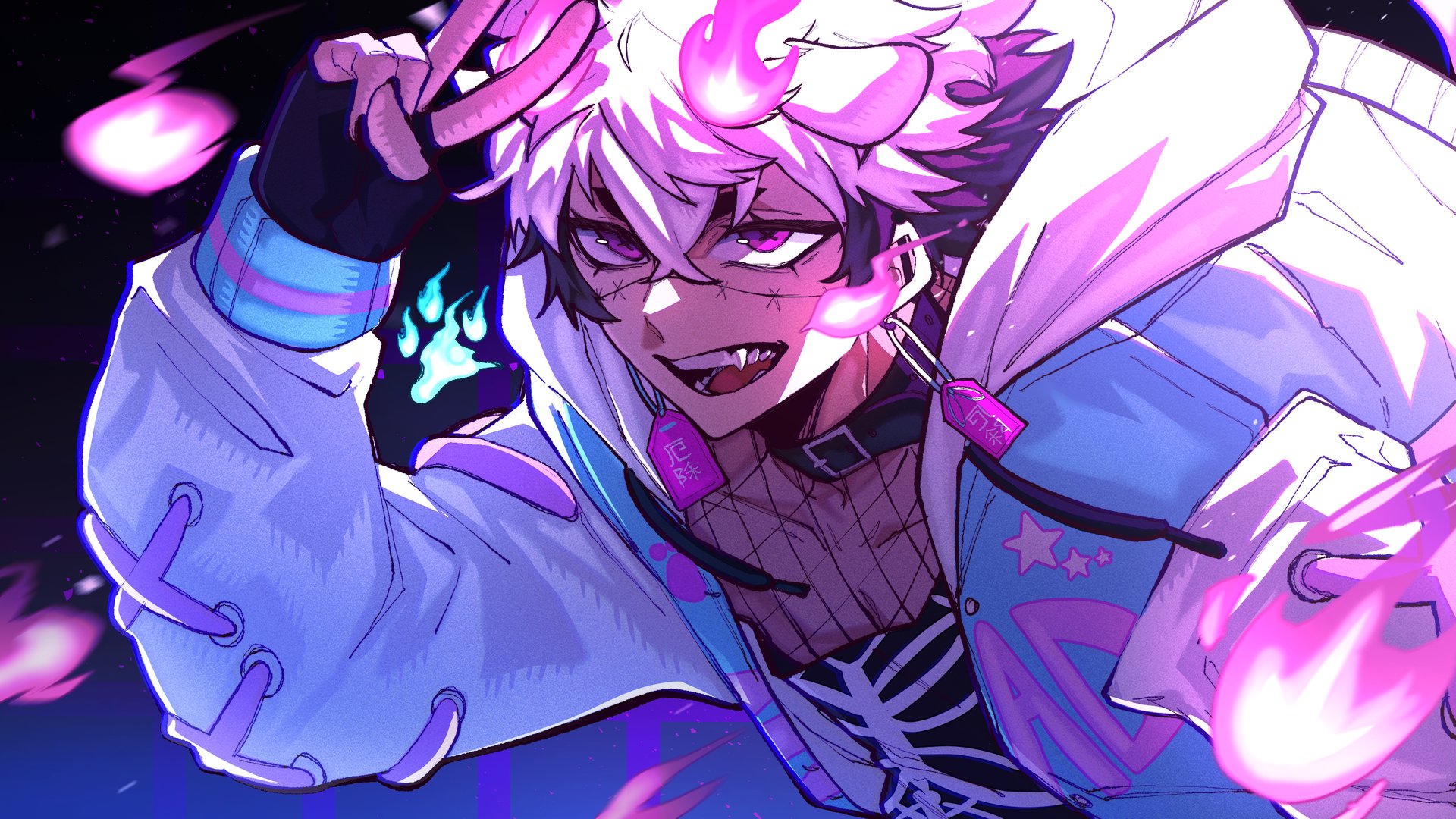 PunkPupVT banner