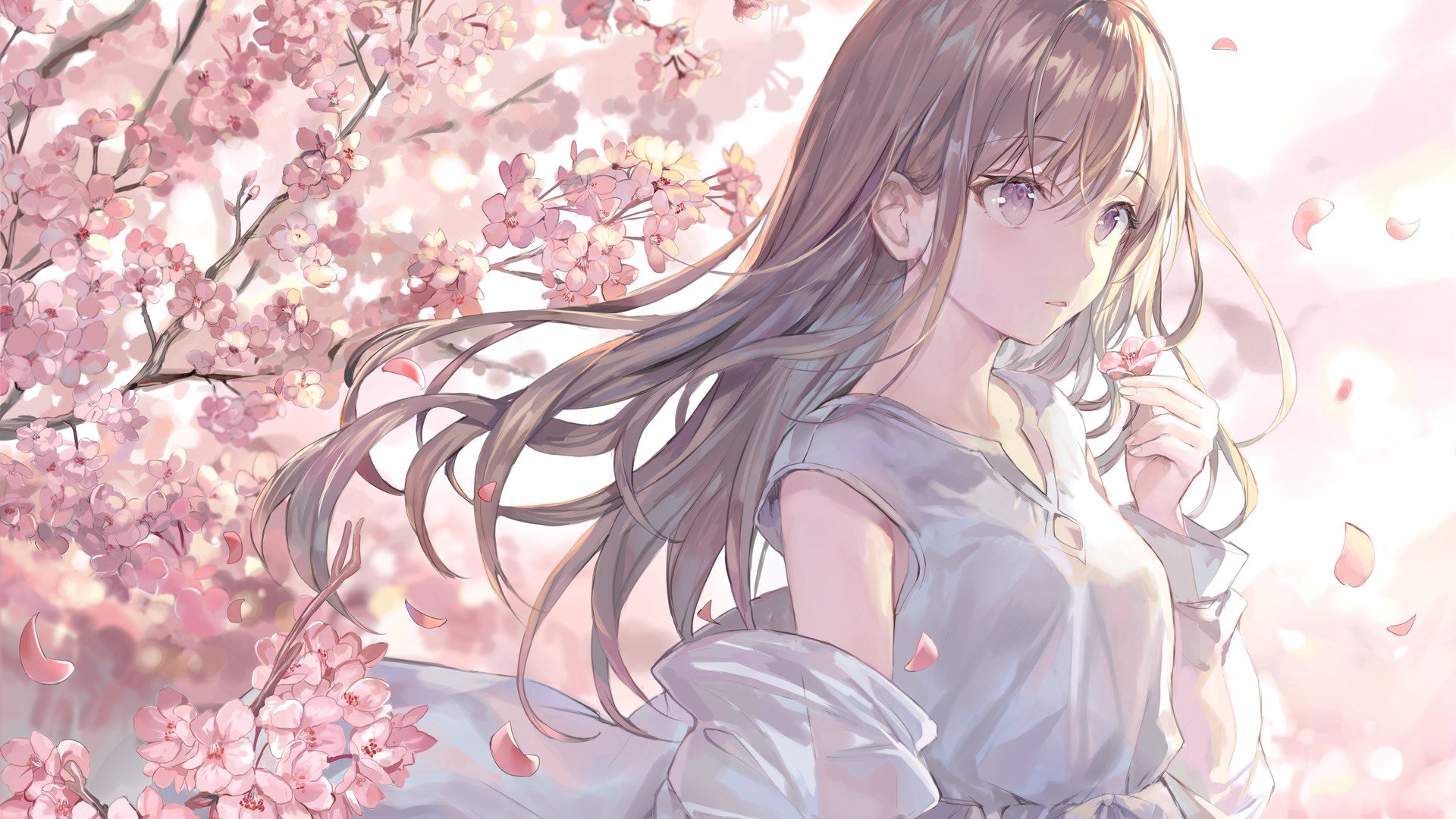 PyonPyonette banner