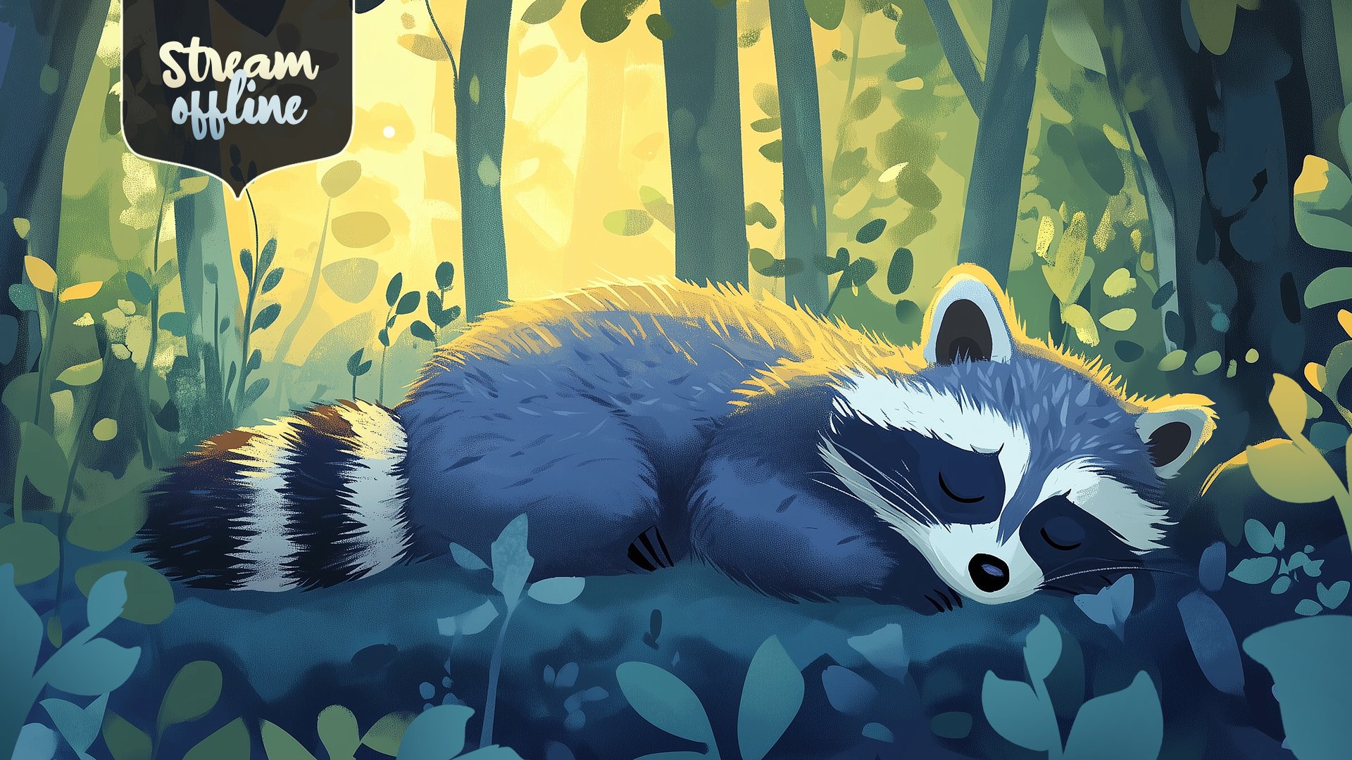 RaccoonT00N banner