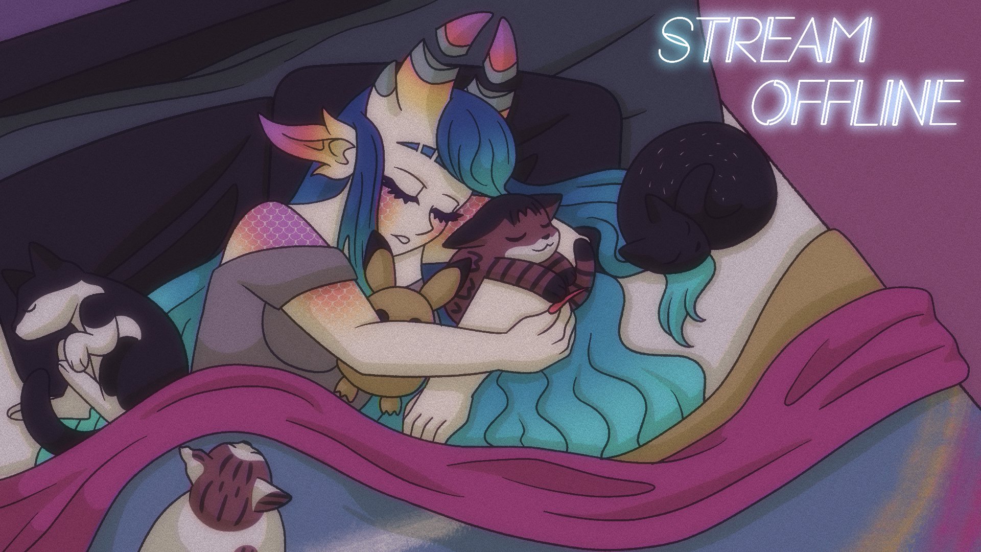 Ragdoll Raina banner