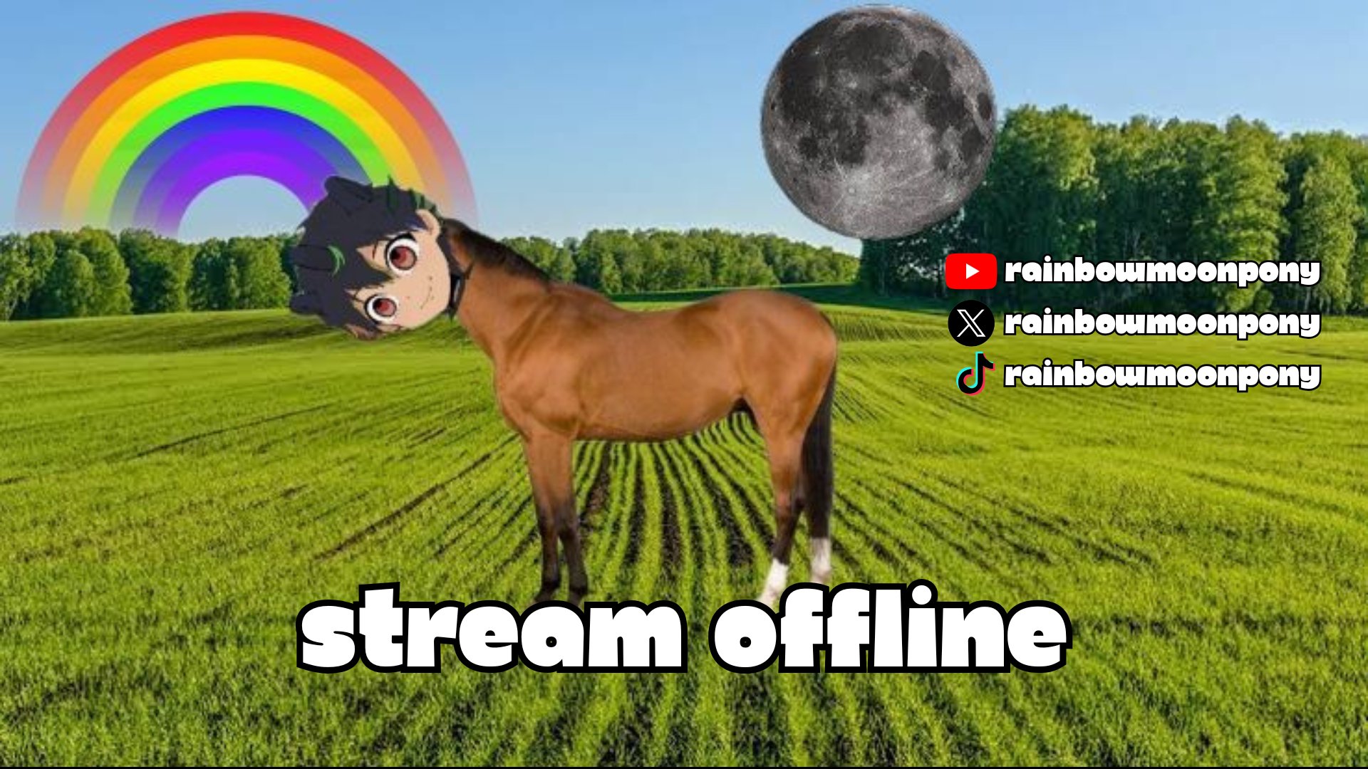 RainbowMoonPony banner