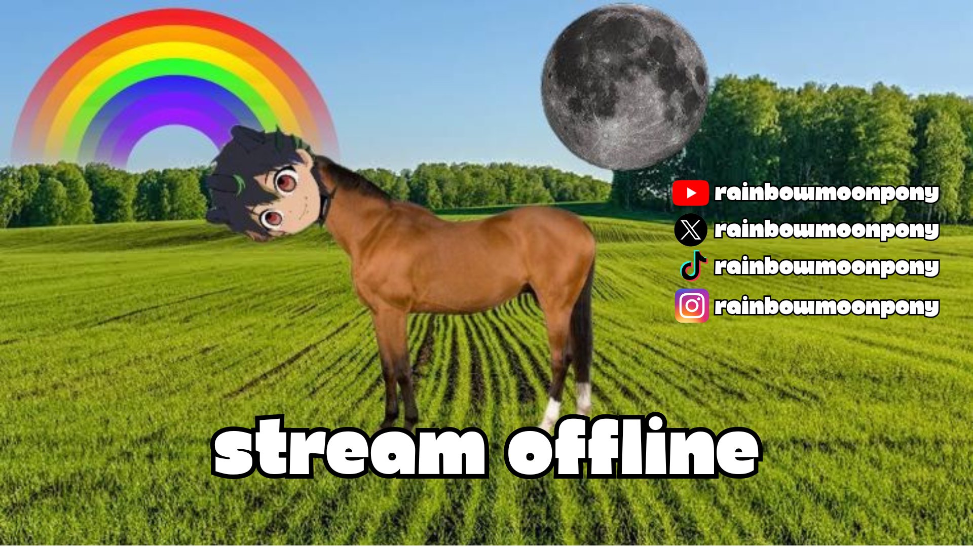 RainbowMoonPony banner