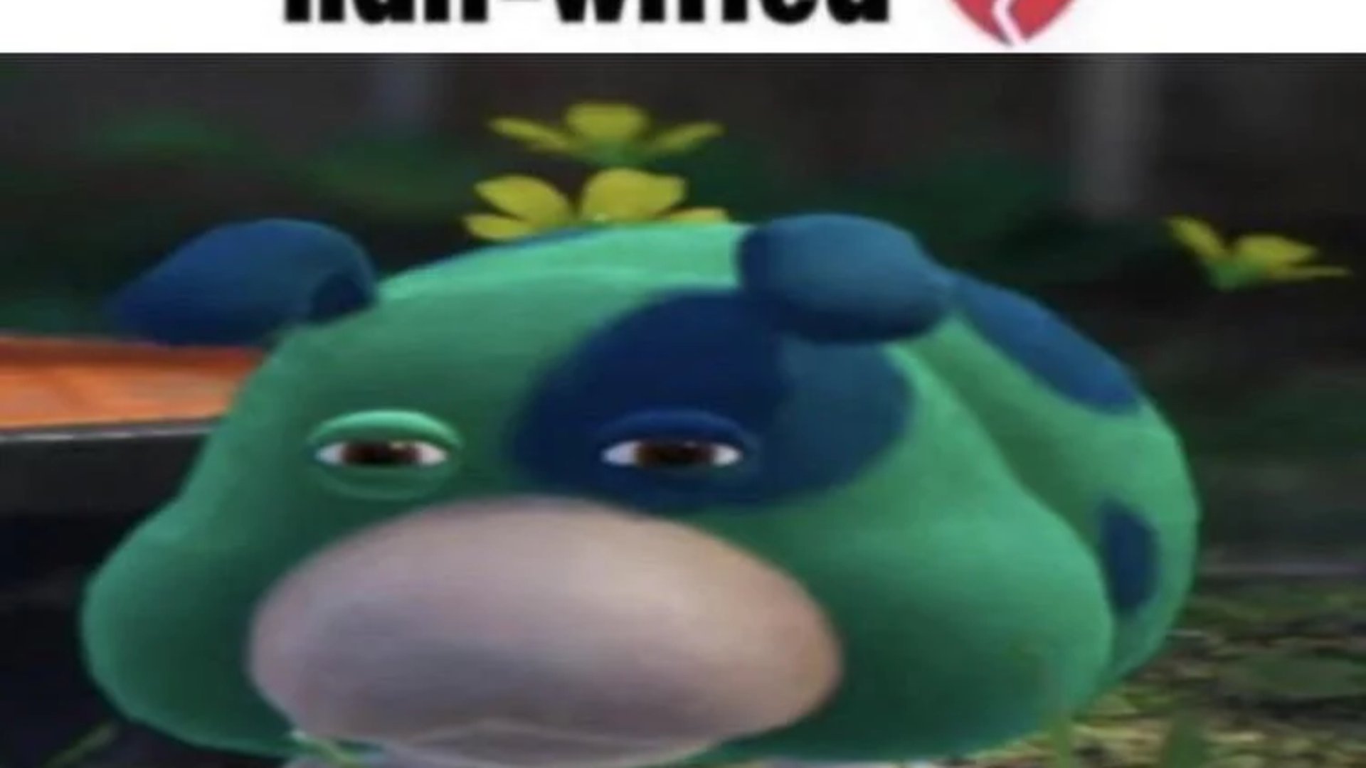 rakia_falh banner