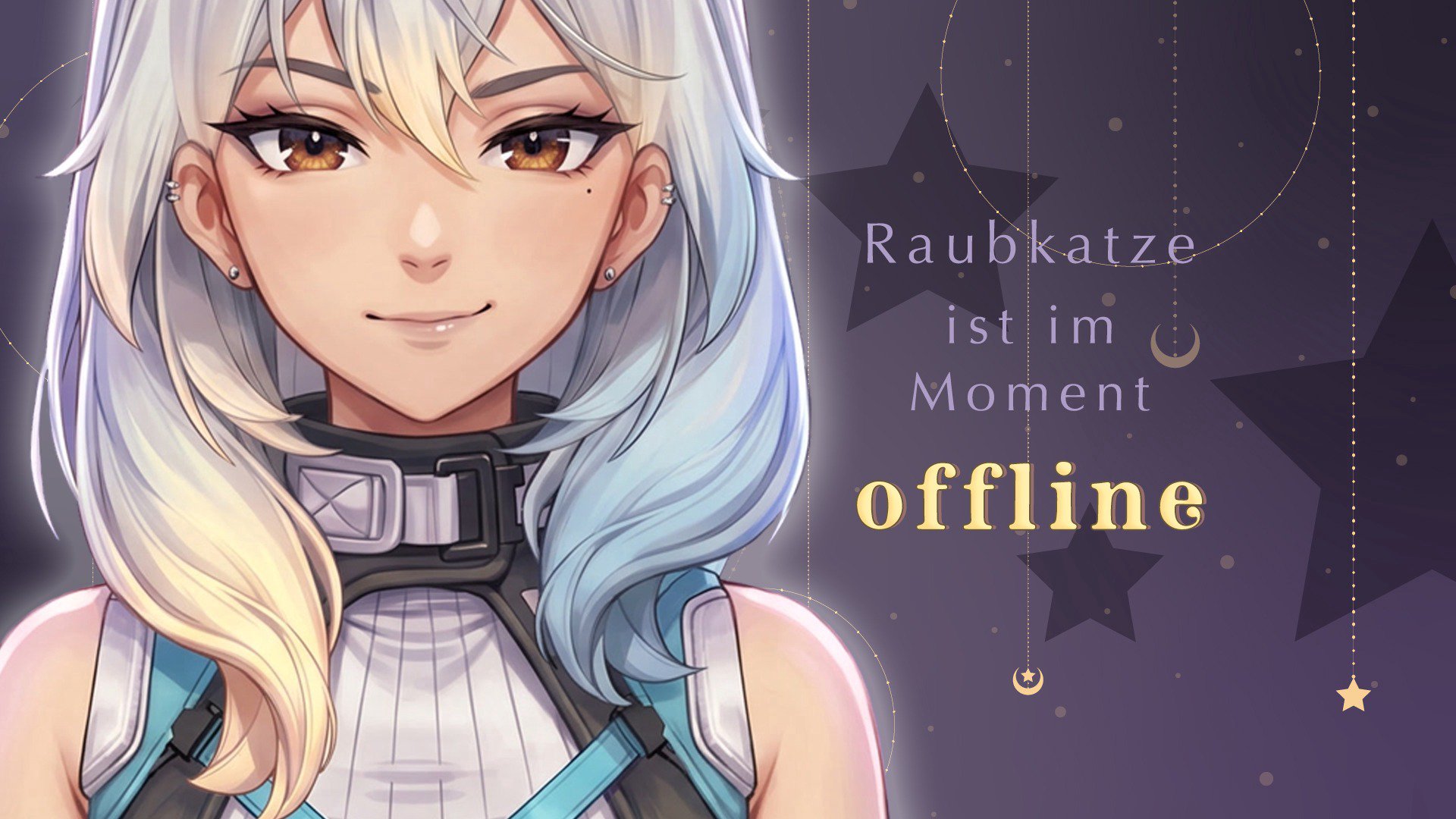 Raubkatze banner
