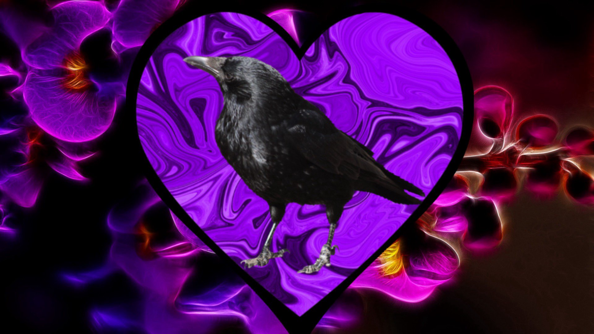 RavinCorp banner