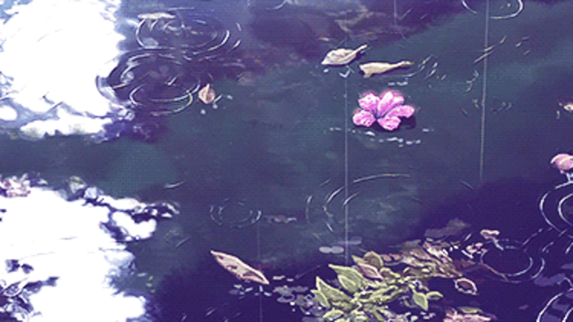 Reinervia banner