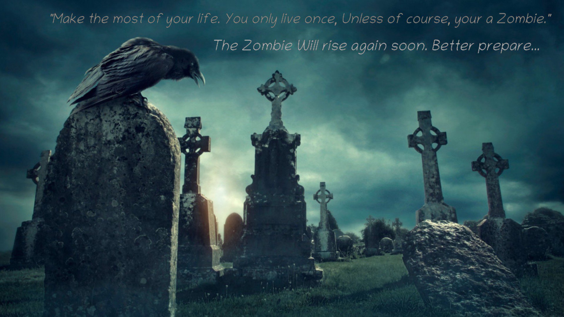 ReiYourZombae banner