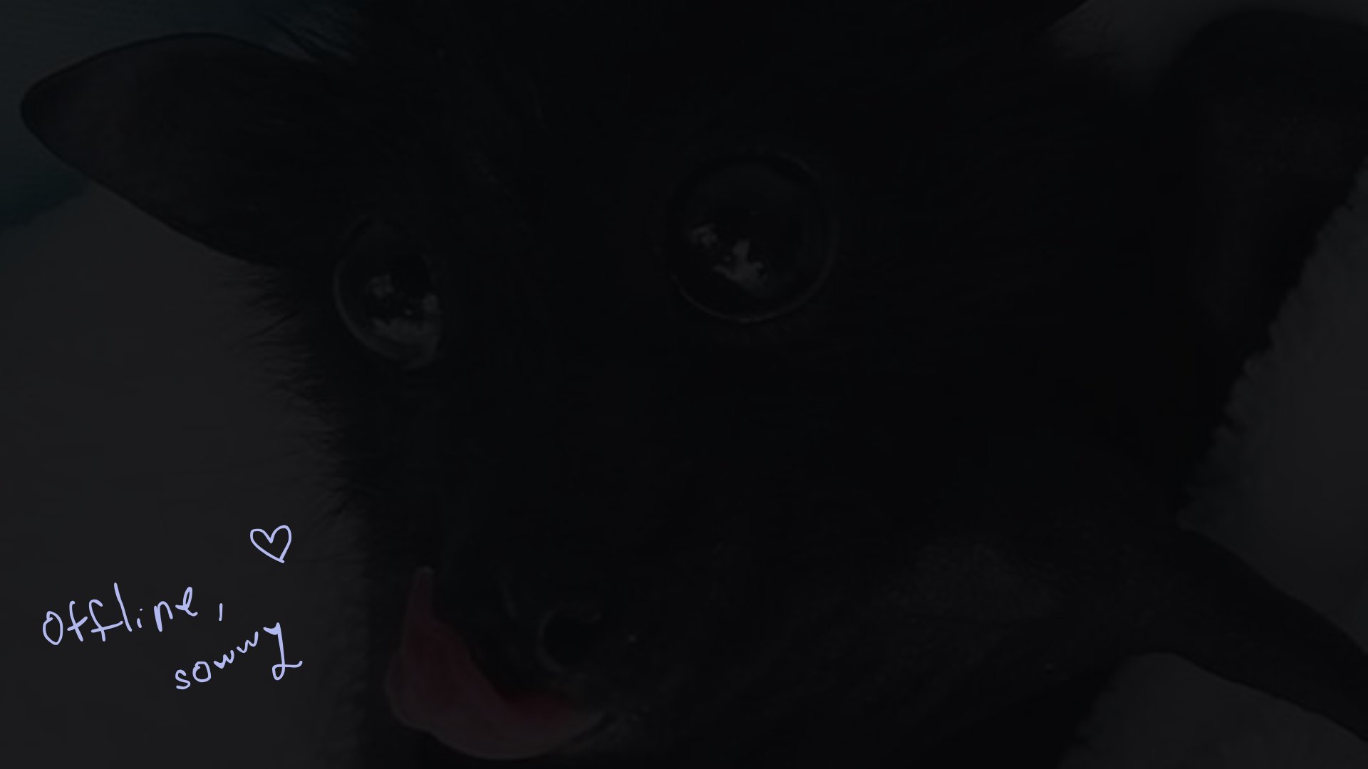 Reneelia banner
