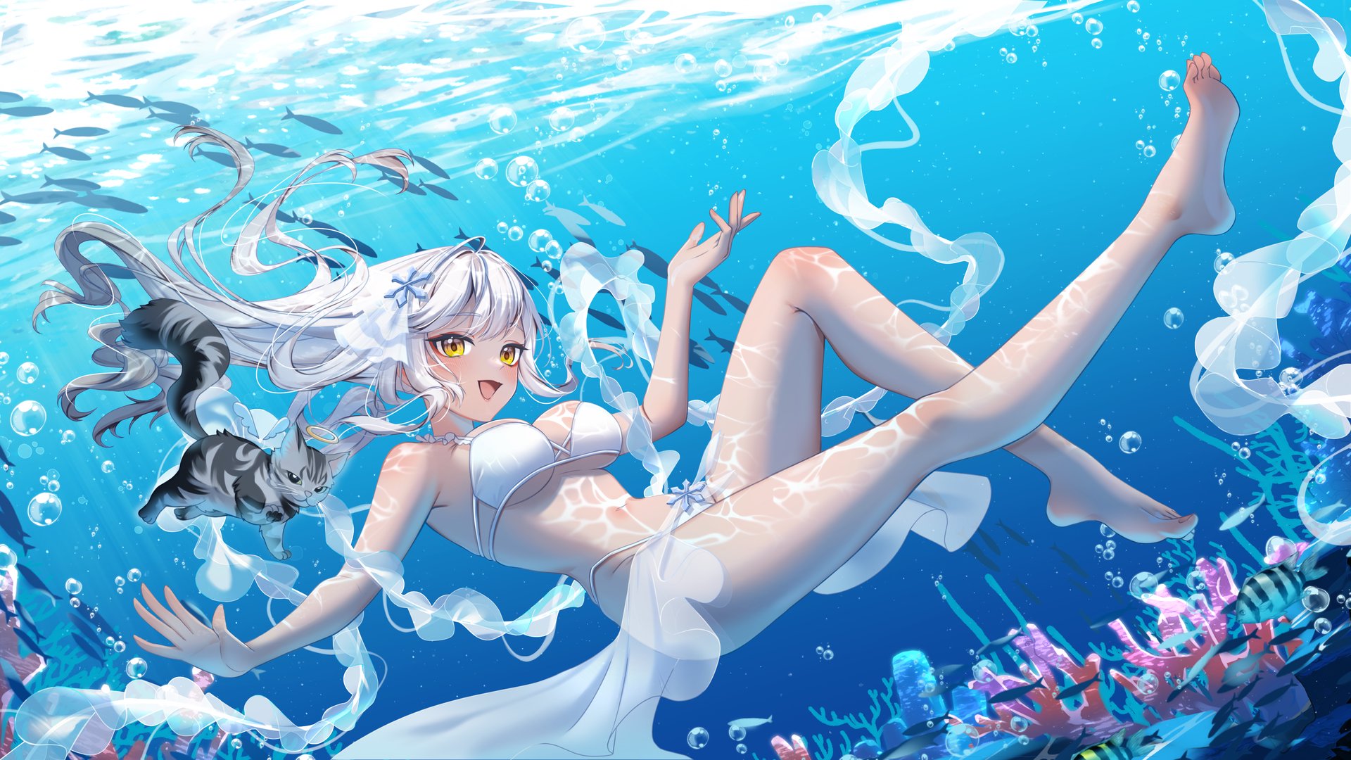 蕾妮斯諾伊 banner