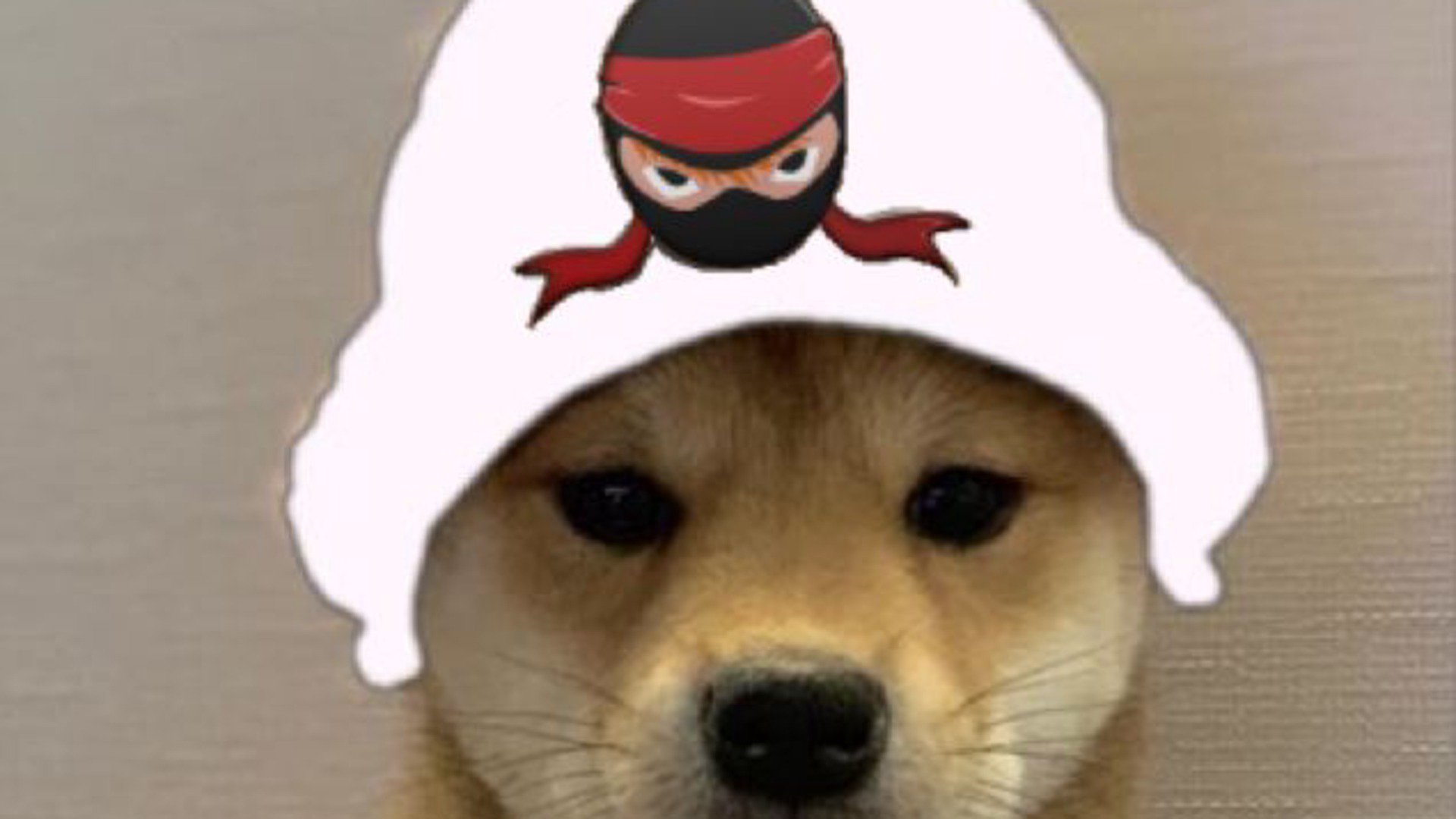 RhinarFD banner