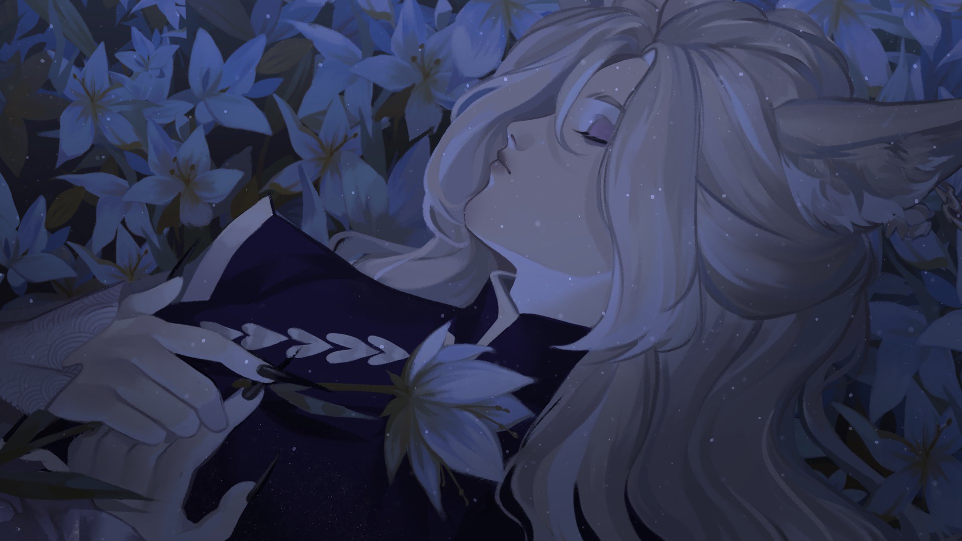 riowo banner