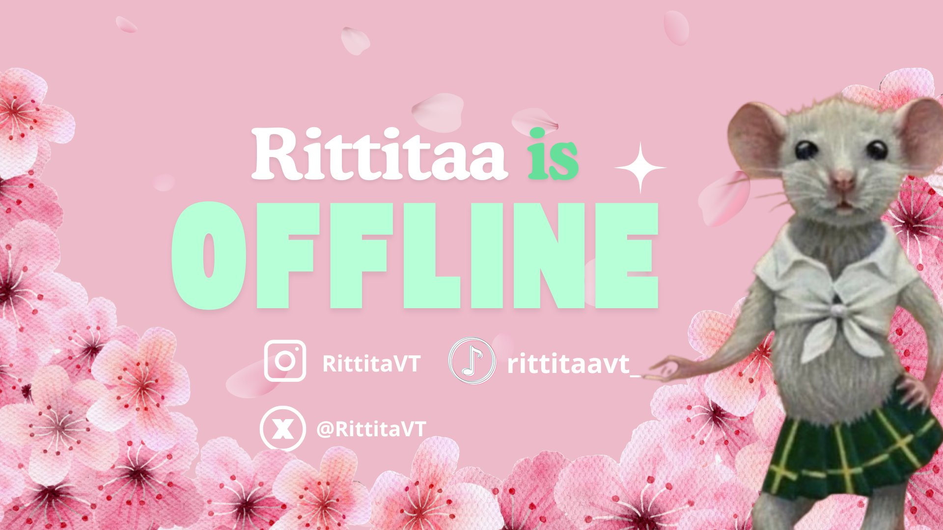 Rittitaa banner
