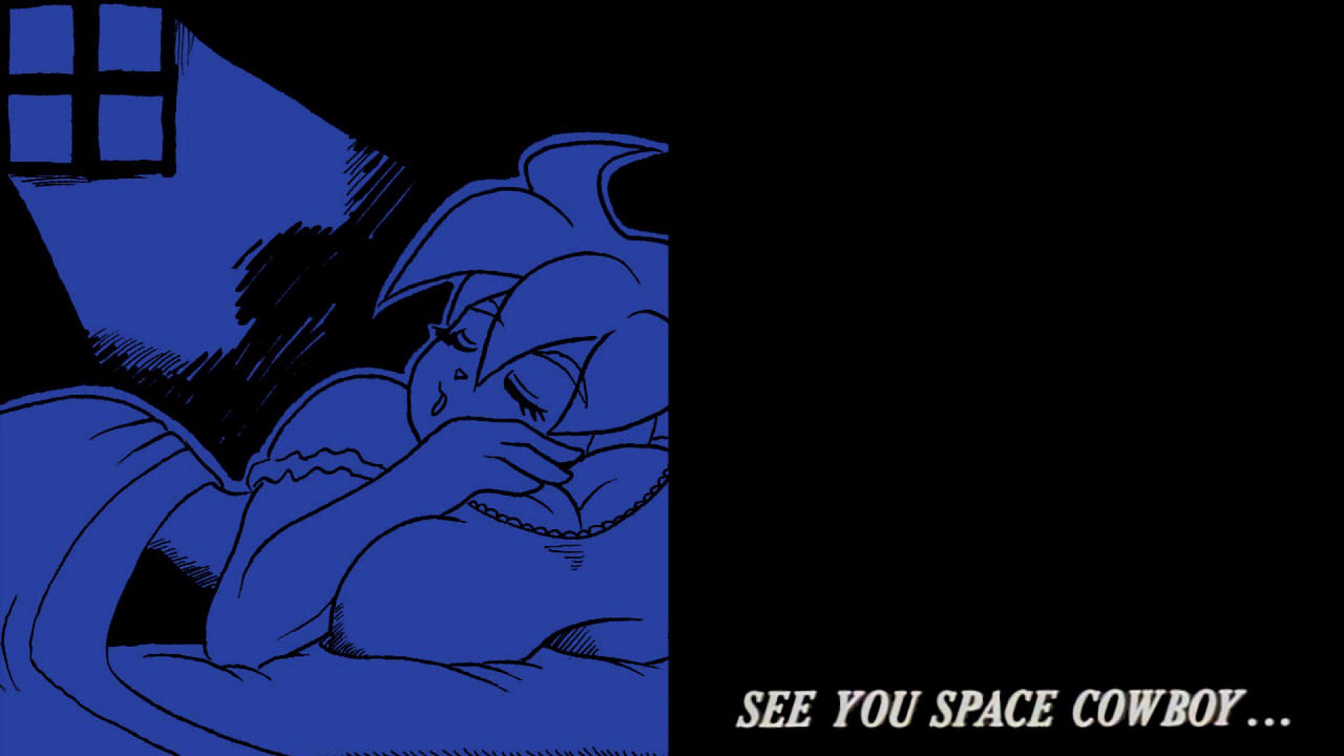 Roxikat banner