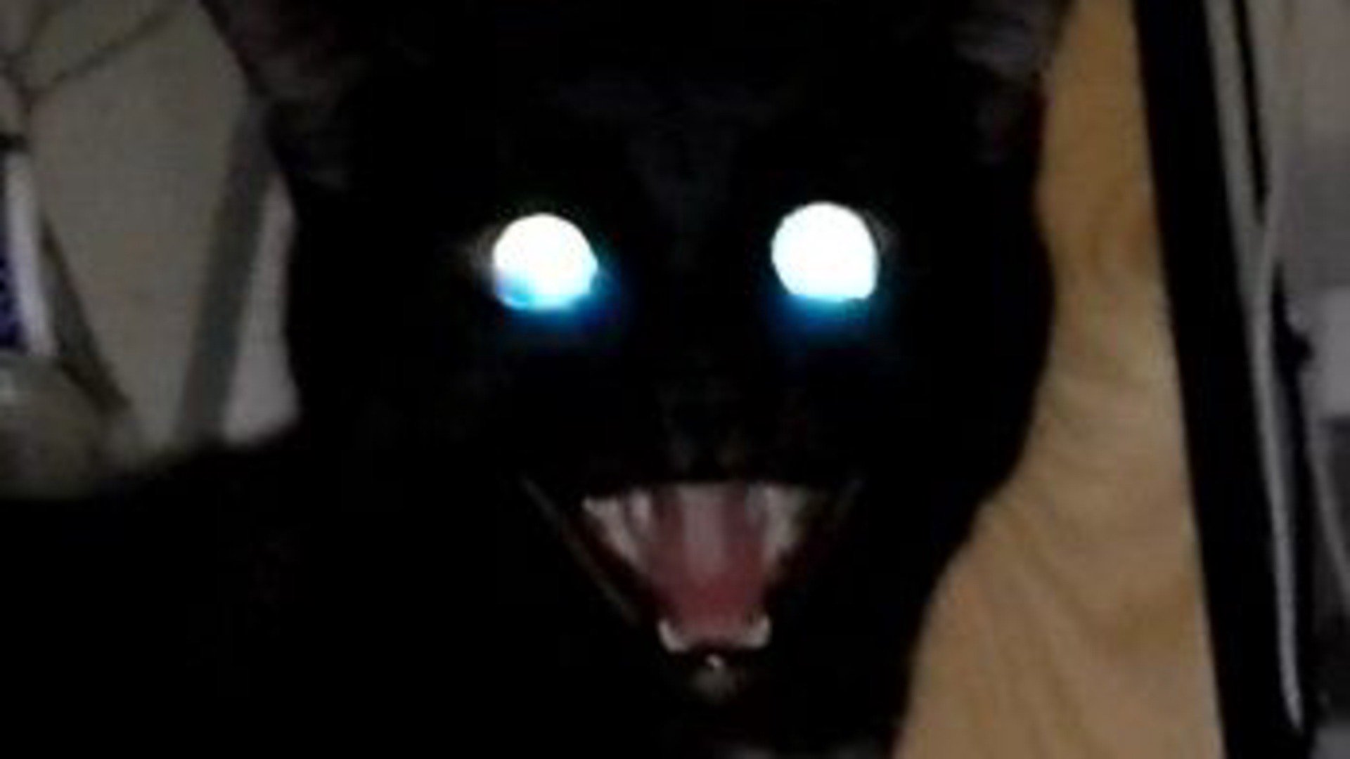 RumiVel banner