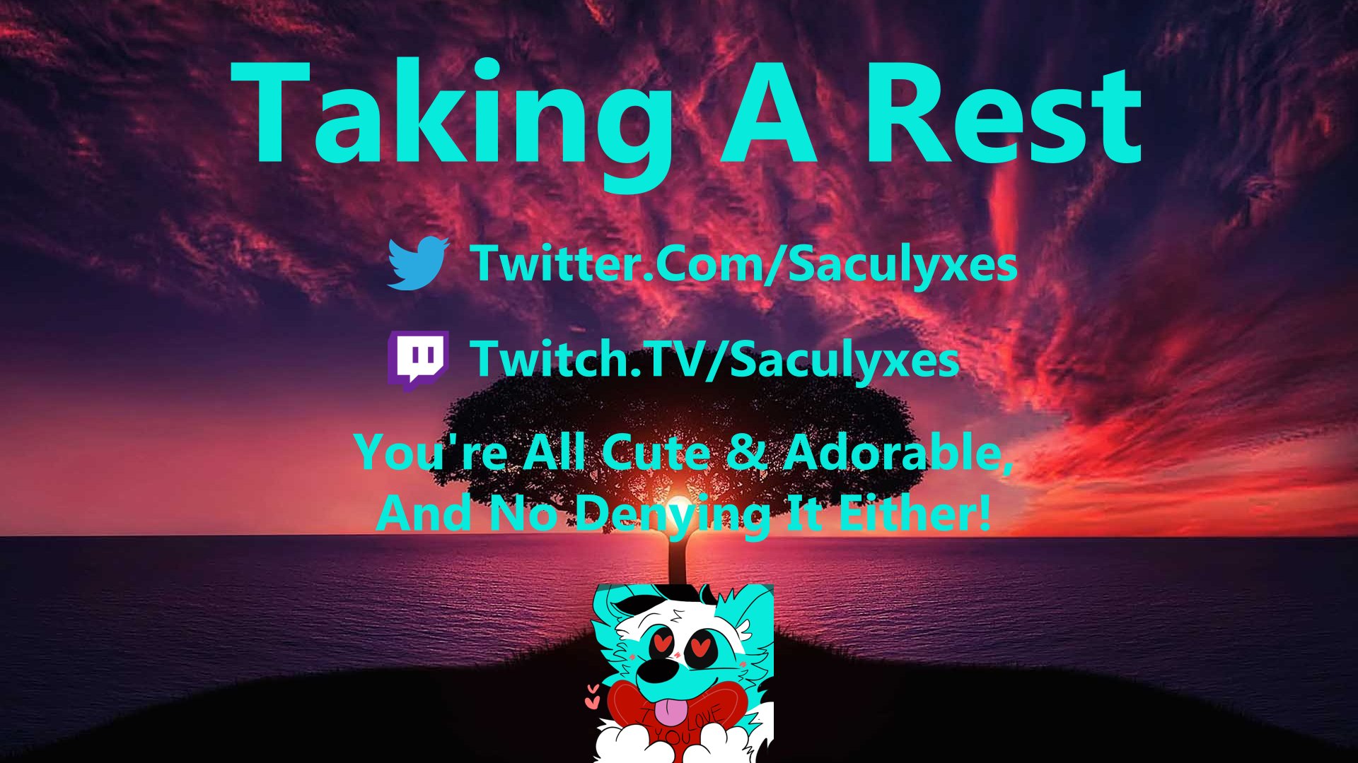saculyxes banner