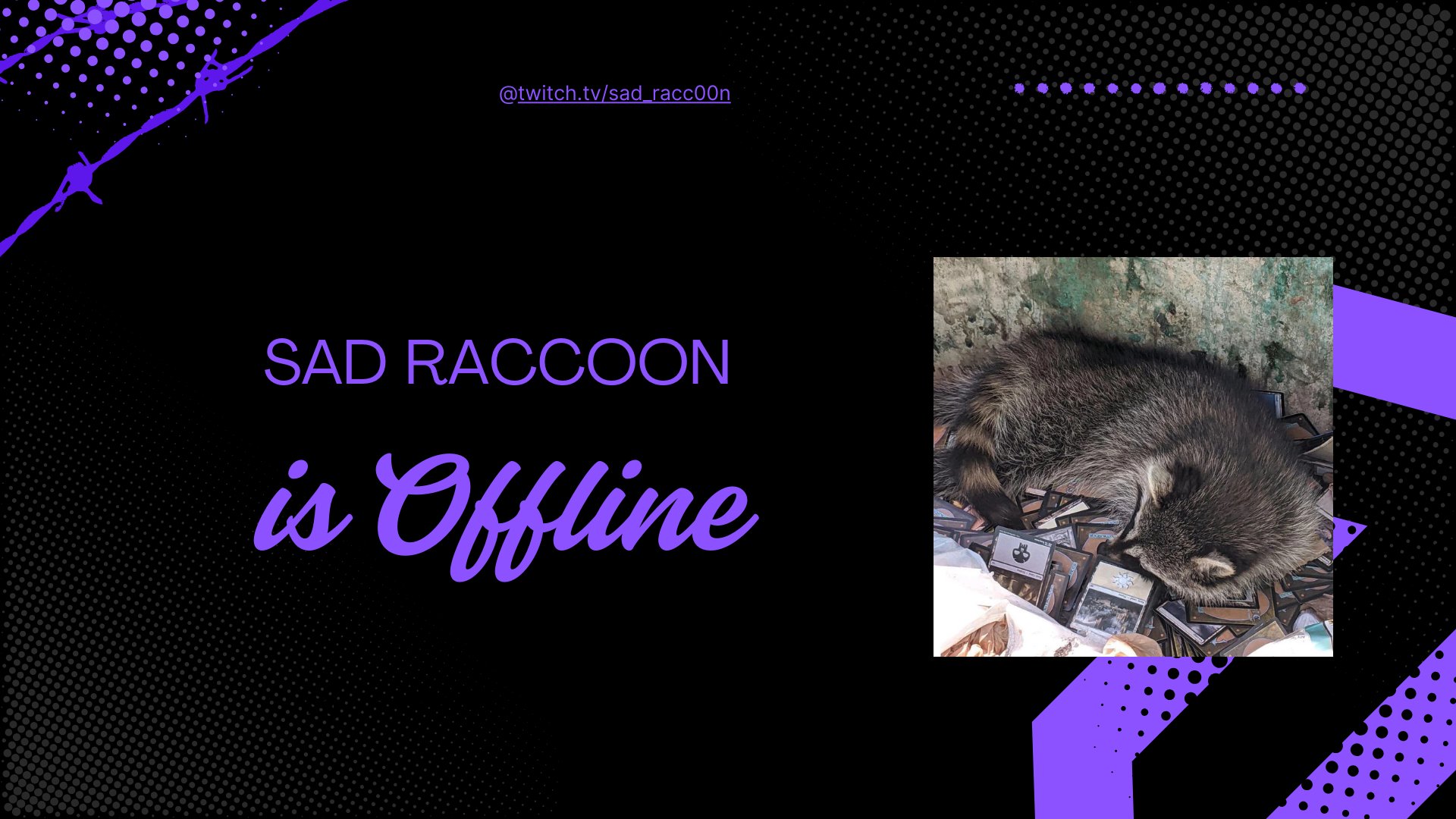 Sad_Racc00n banner