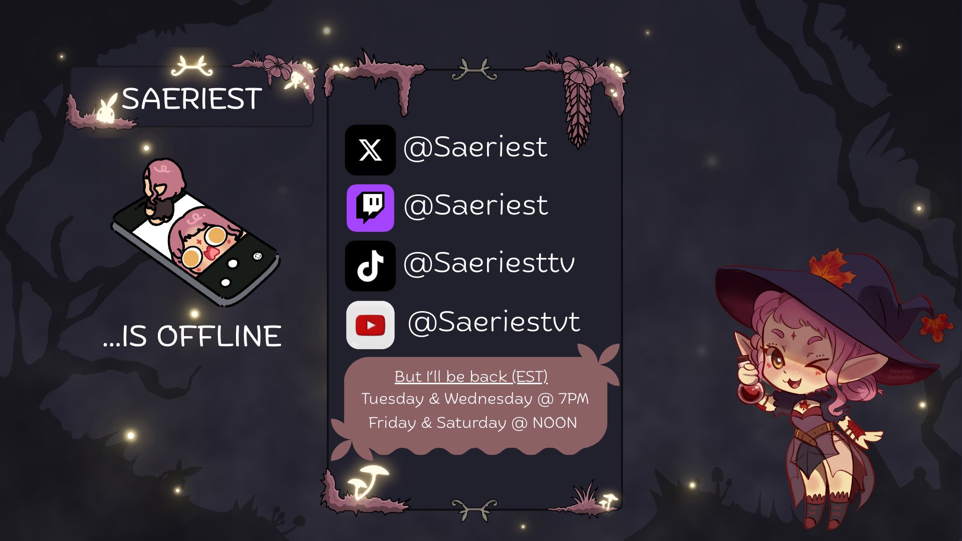 Saeriest banner