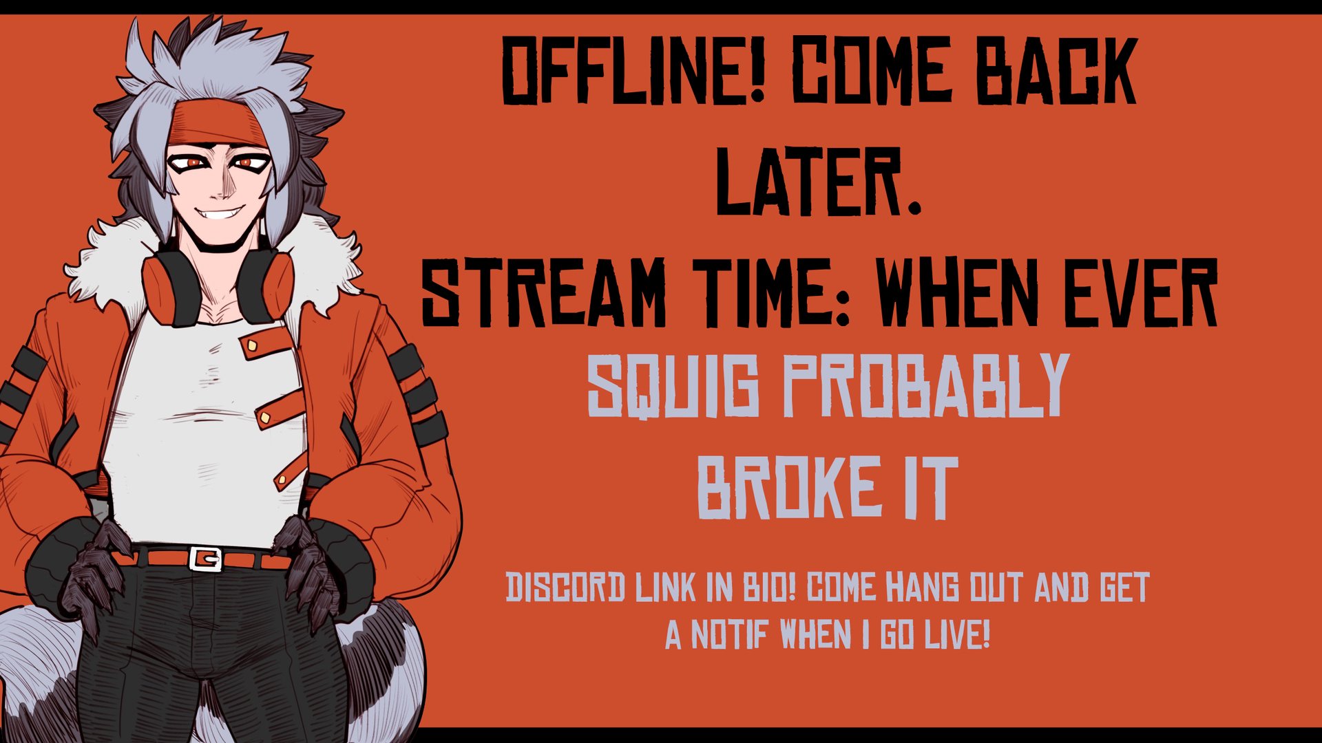 SailTheRaccoon banner
