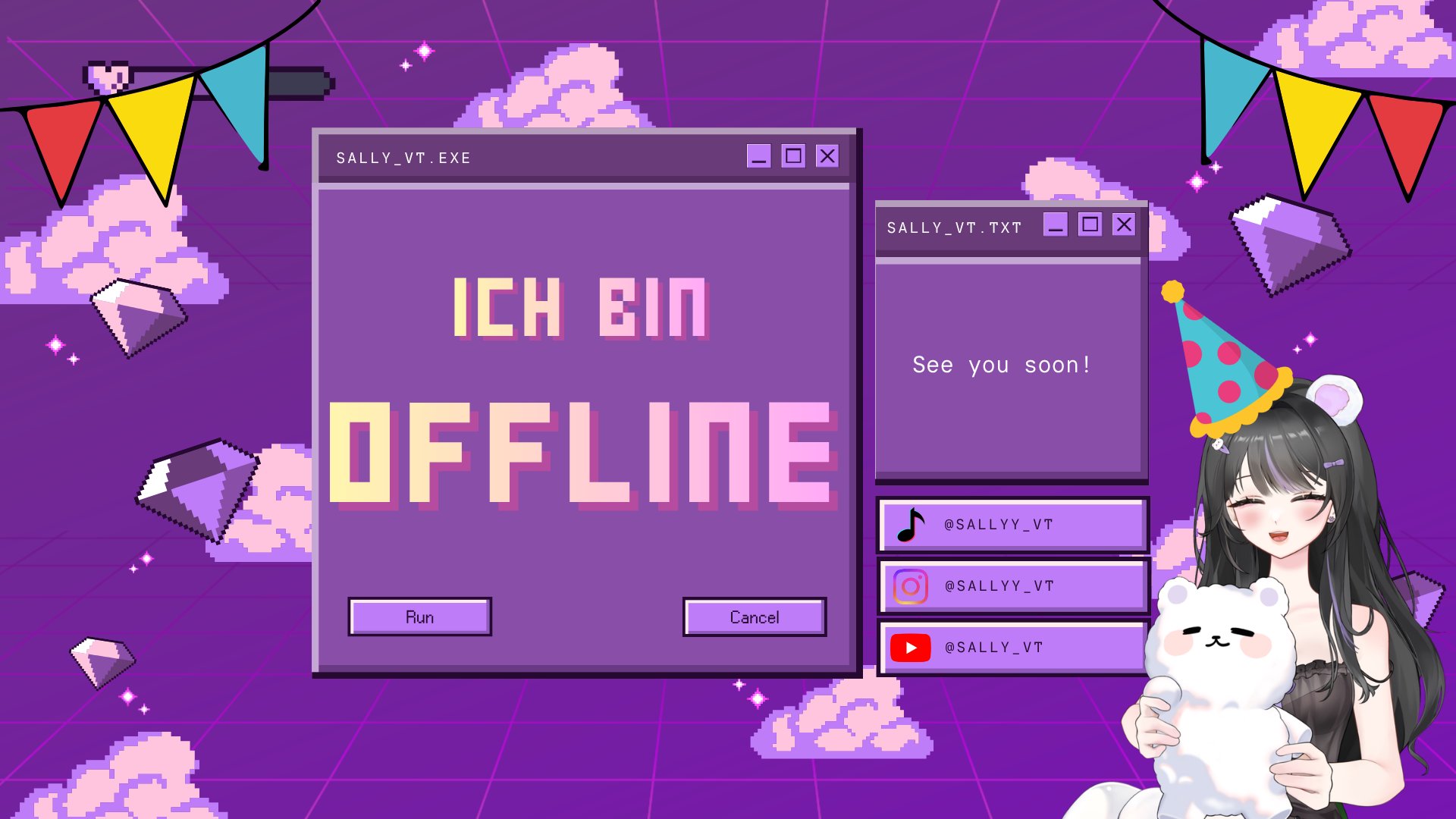 SALLY_VT banner