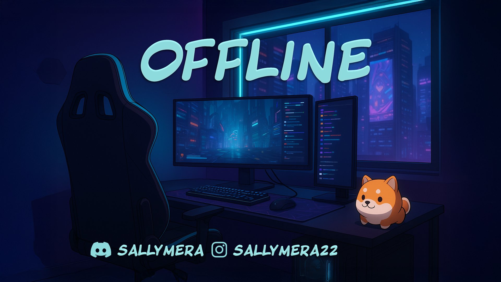 Sallymera banner