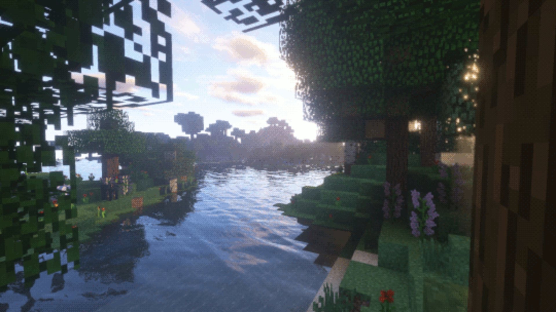 Salmon_Fins banner