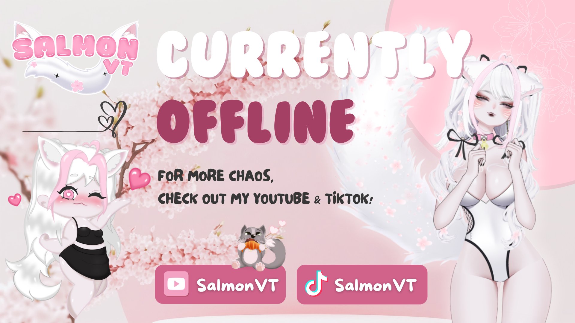 SalmonVT banner