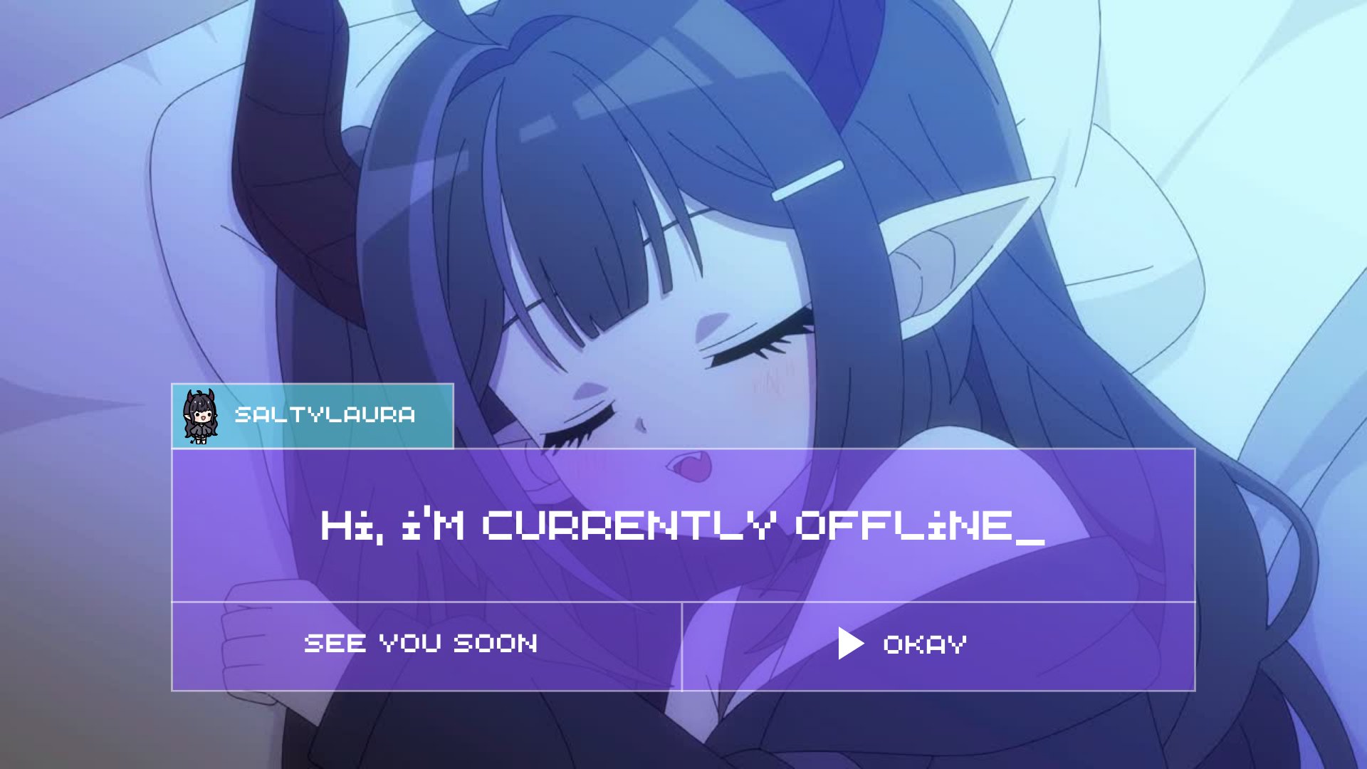 saltylaura banner