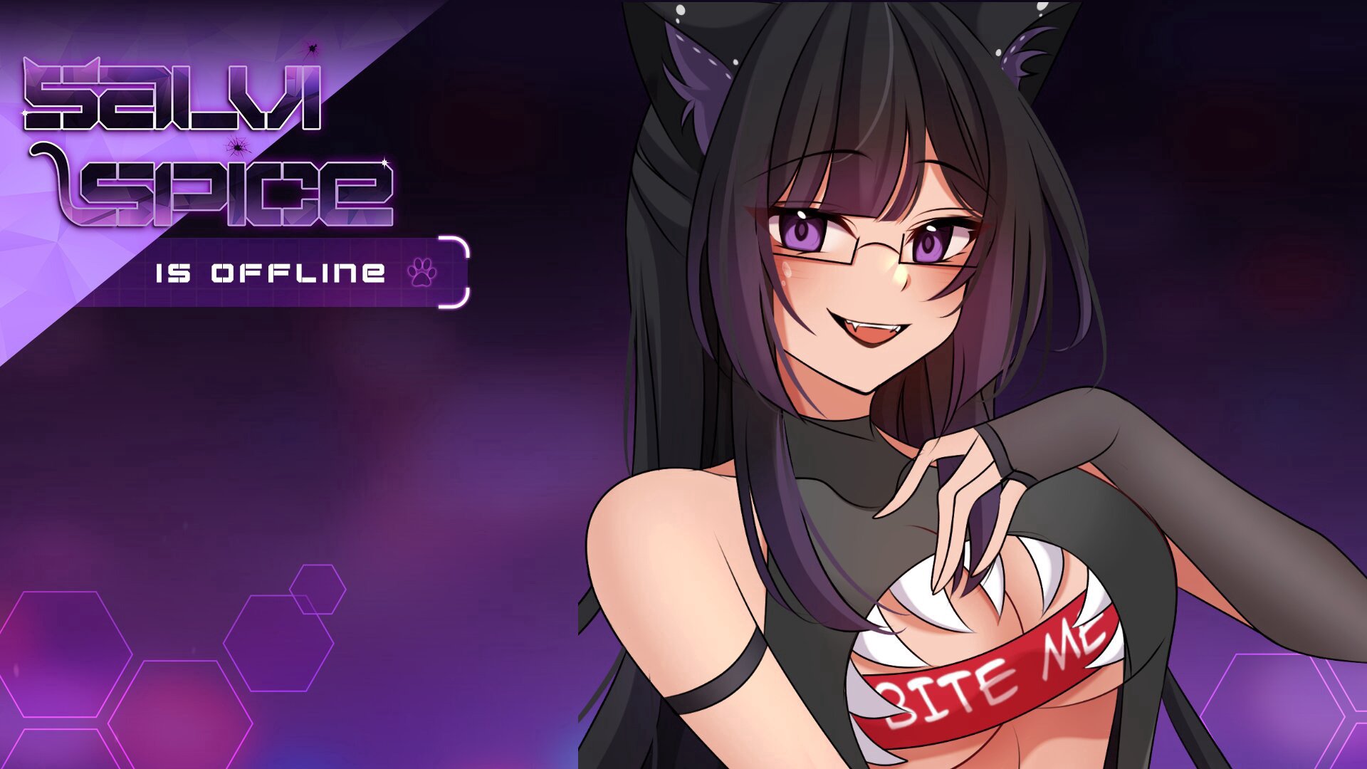 Salvi Spice banner