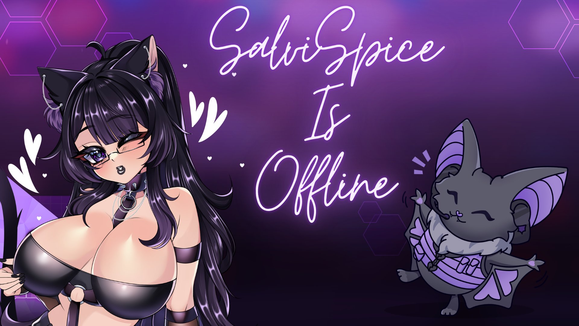 Salvi Spice banner