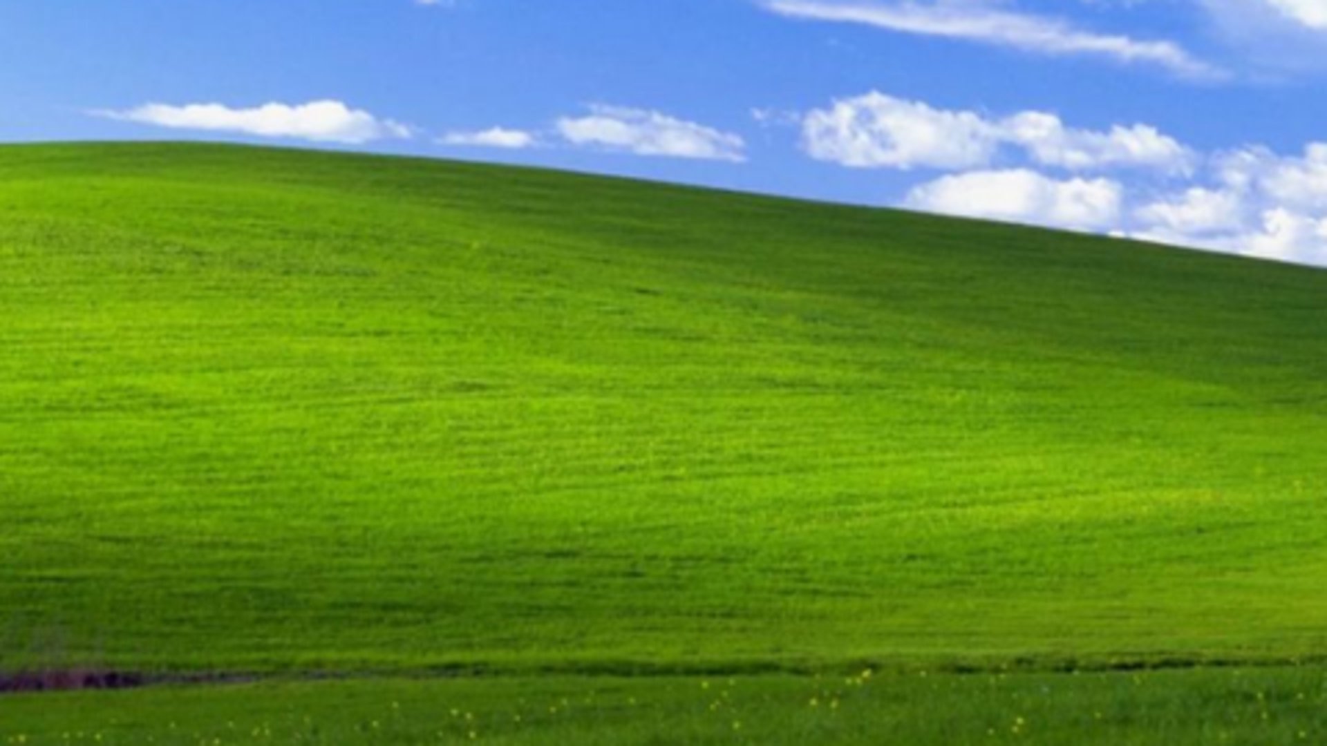 sarakysemz banner