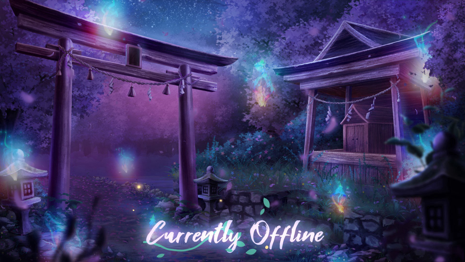 schnibooo banner