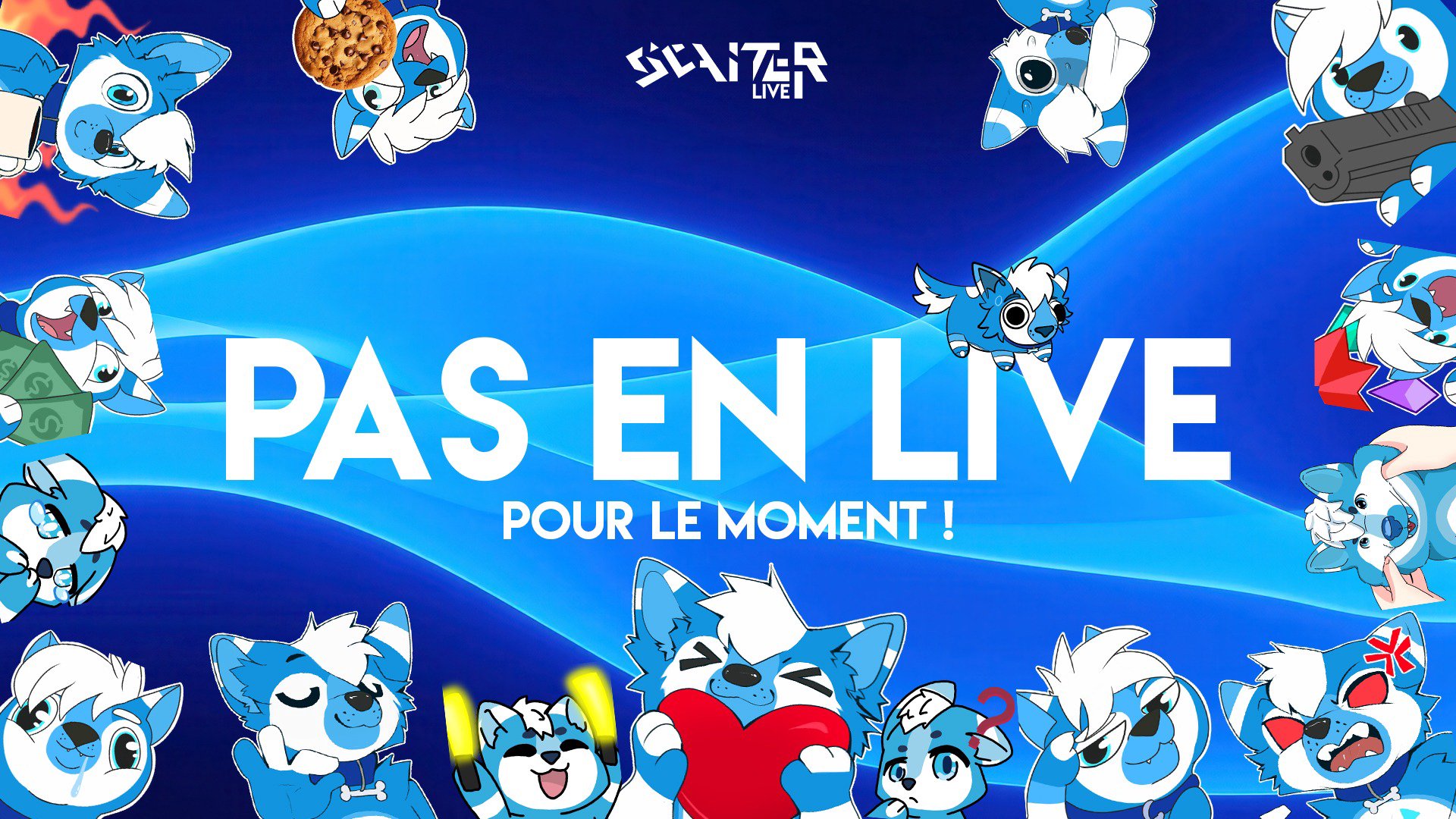 Seaiter banner