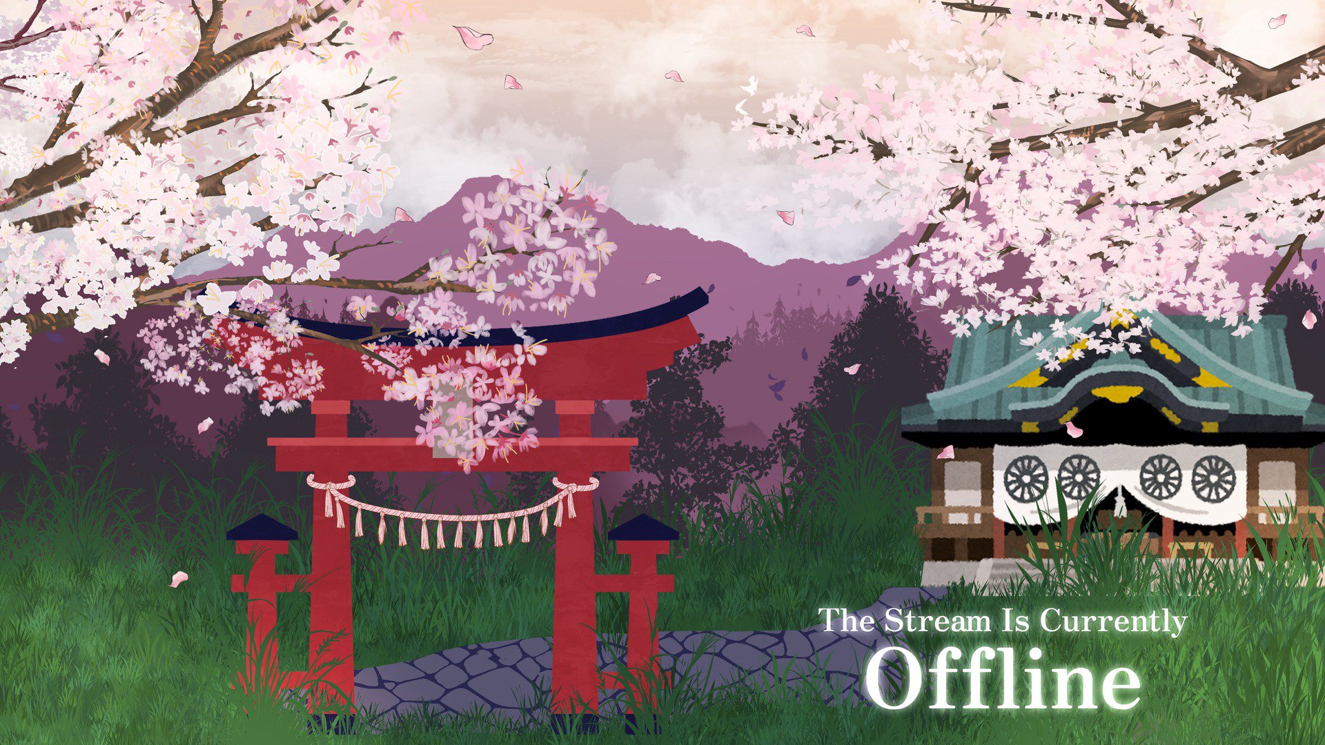 Seifiy banner