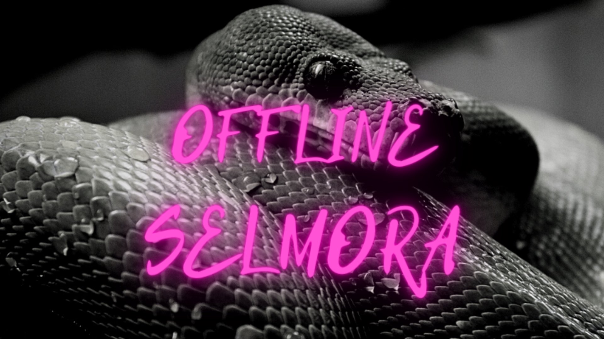 SelmoraVT banner