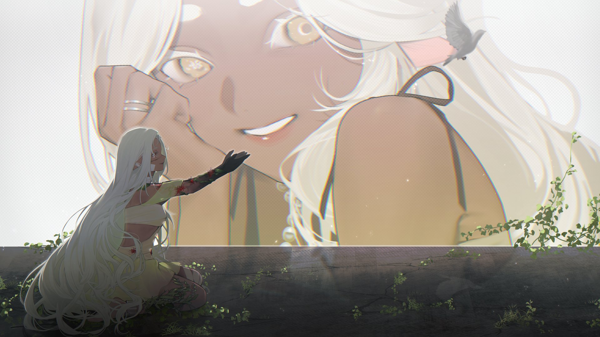 shaniquestars banner