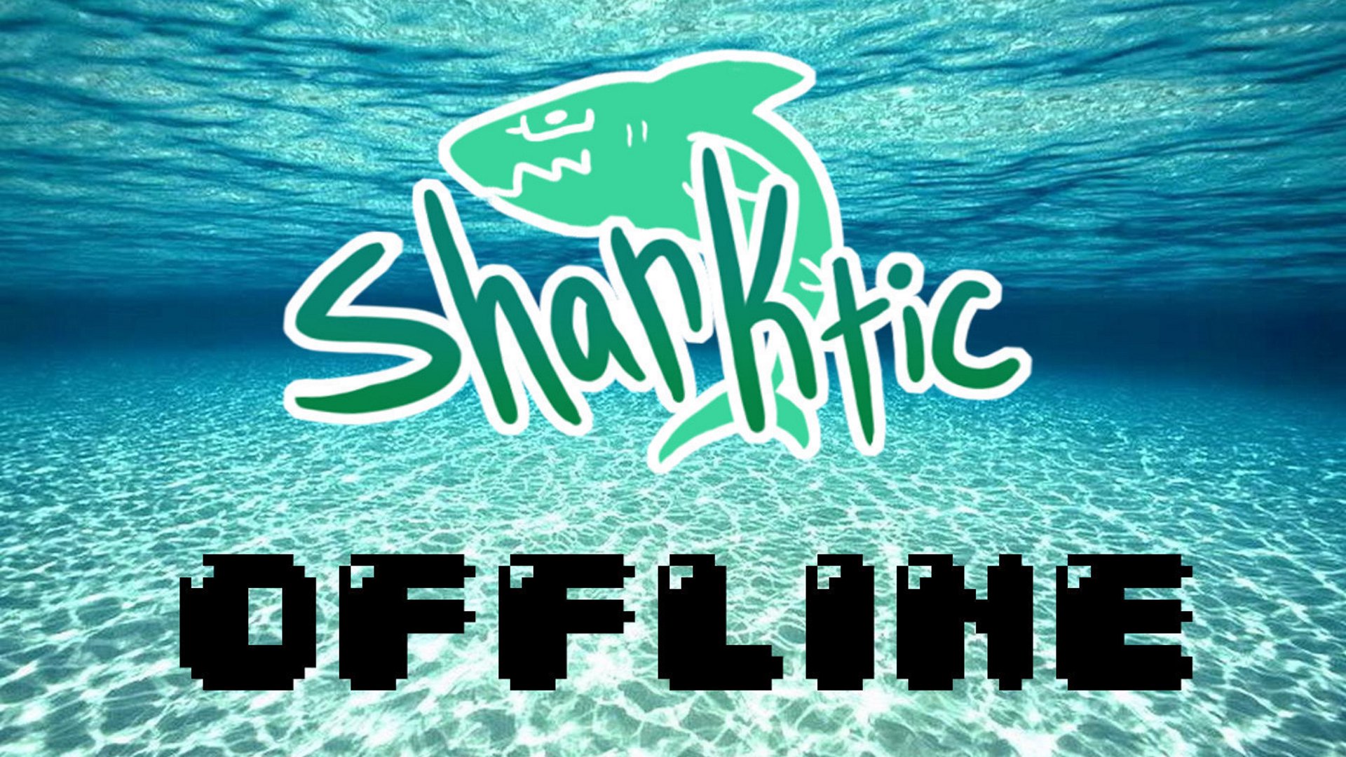 Sharktic banner