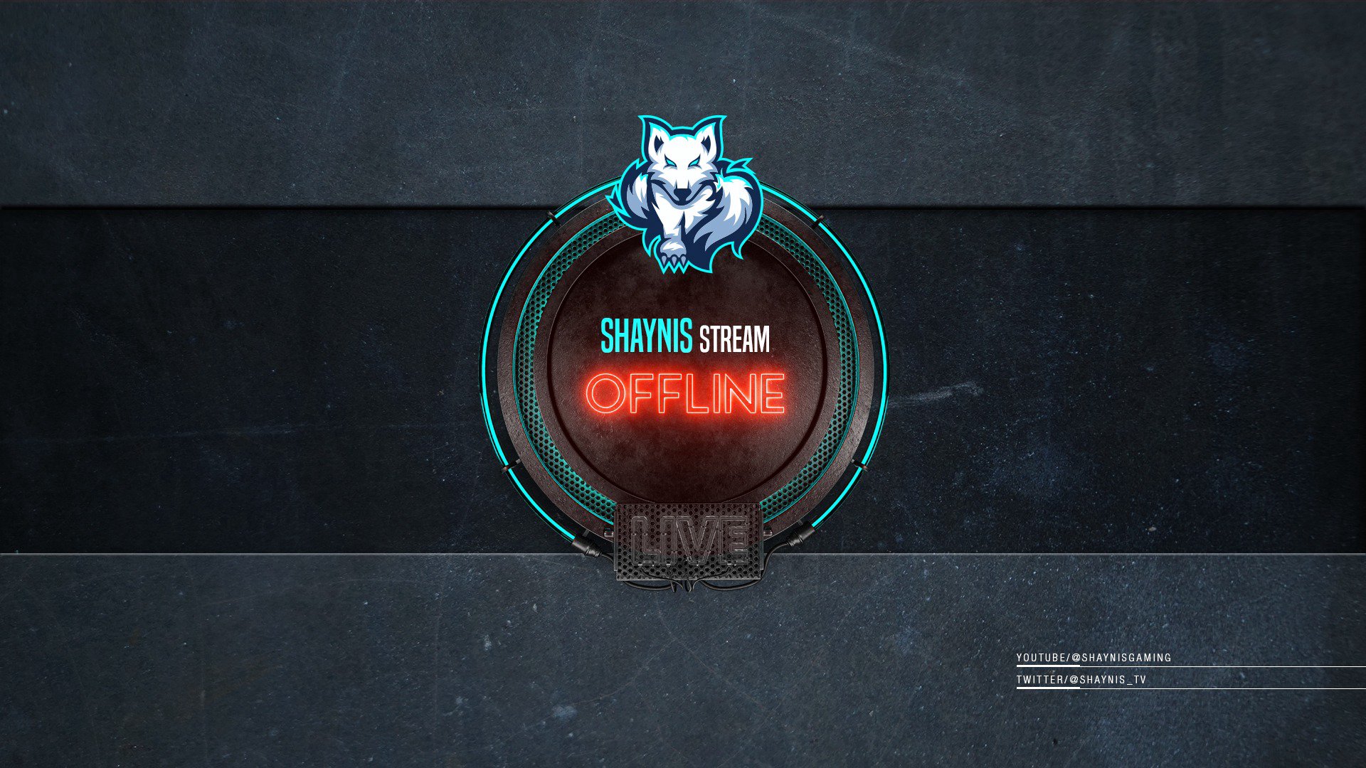 Shaynis_TV banner