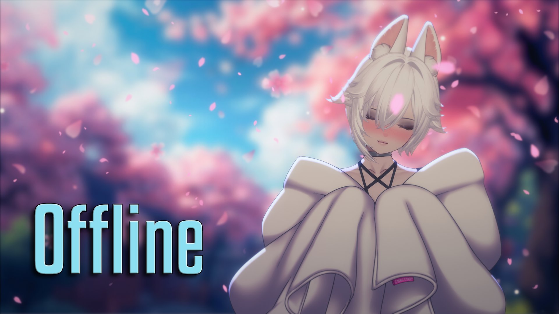 ShiroixVT banner
