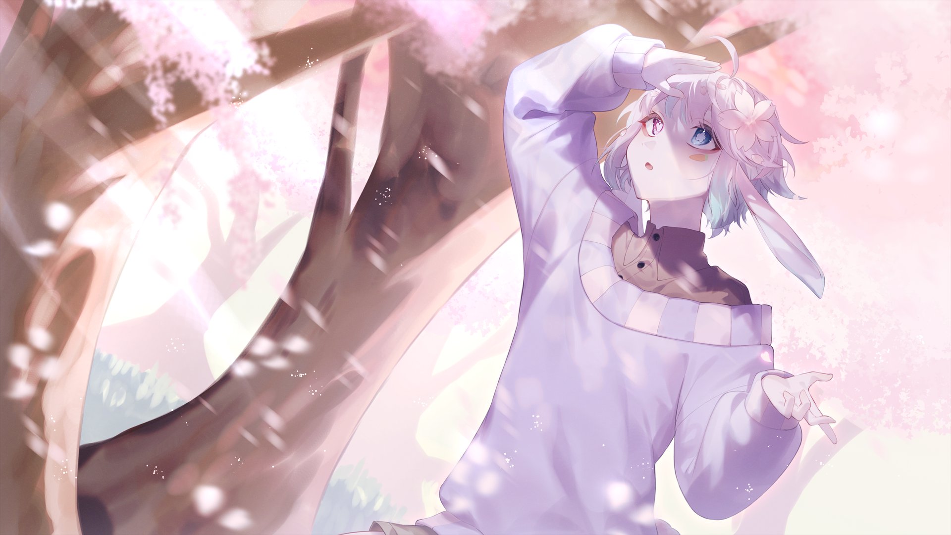 ShiryBun banner
