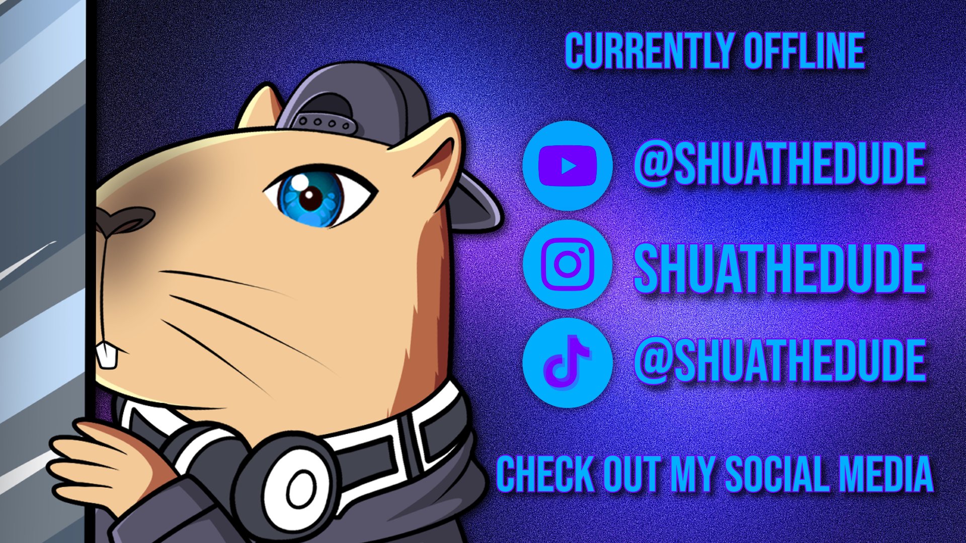 ShuaTheDude banner