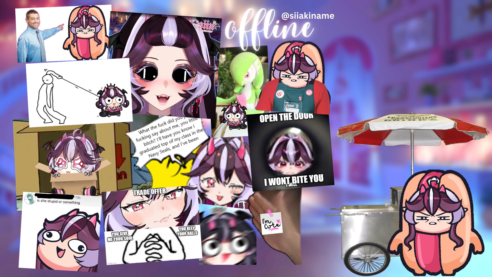 Sia banner