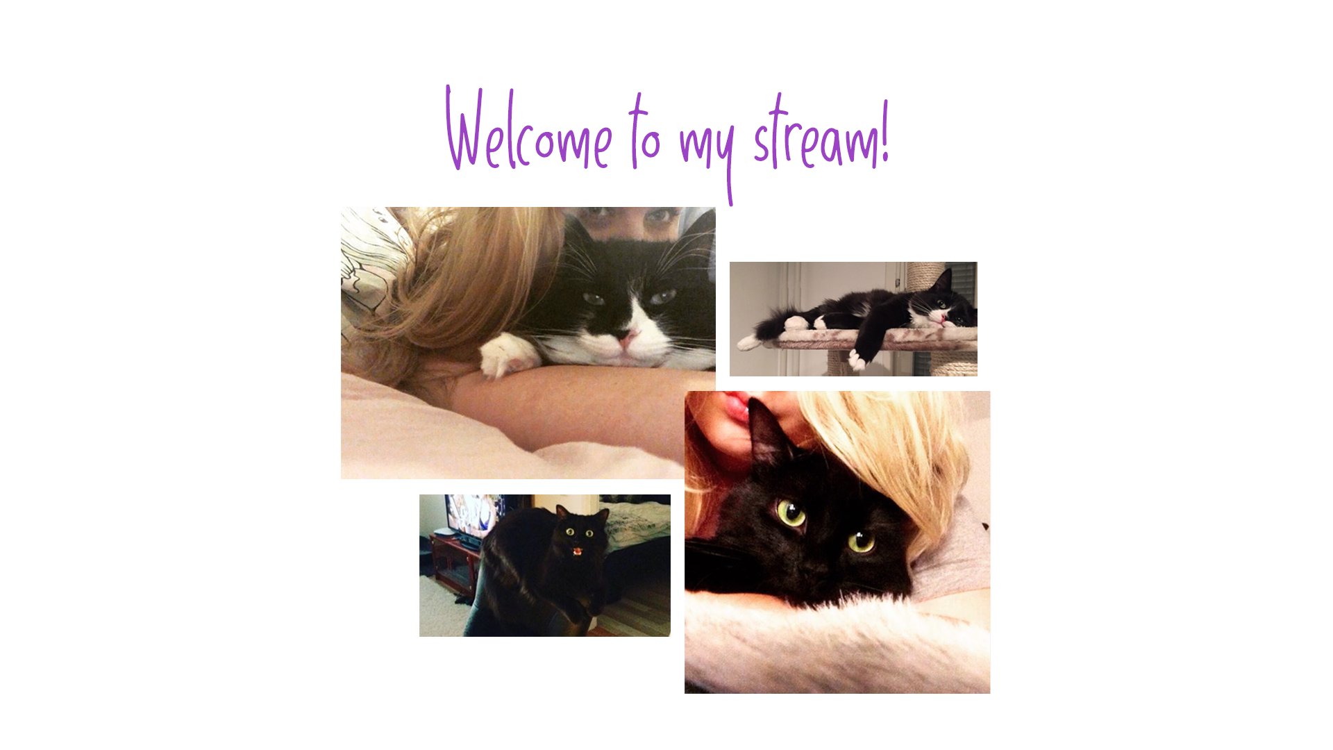 simpukka_ banner