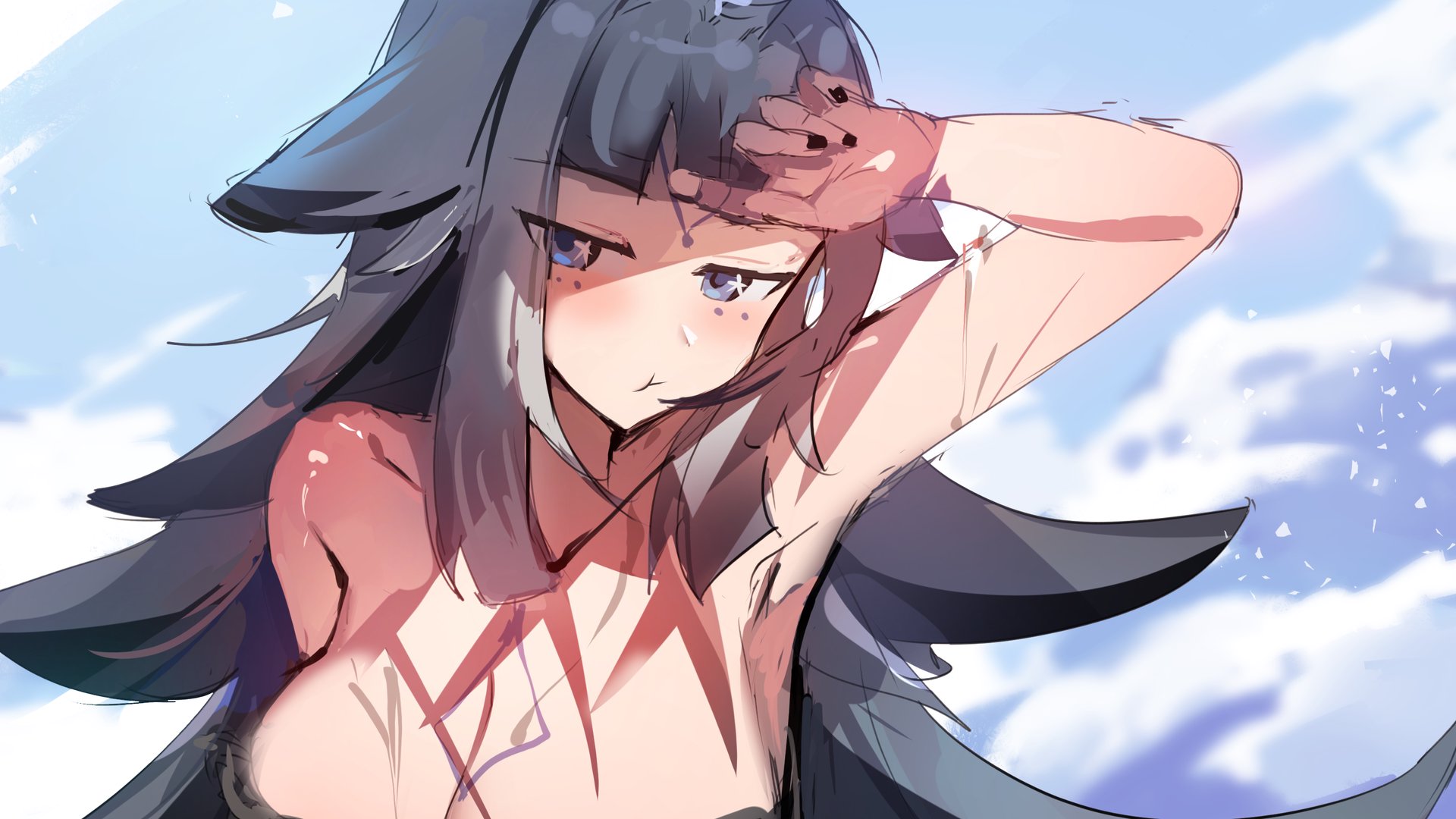Skadiree banner