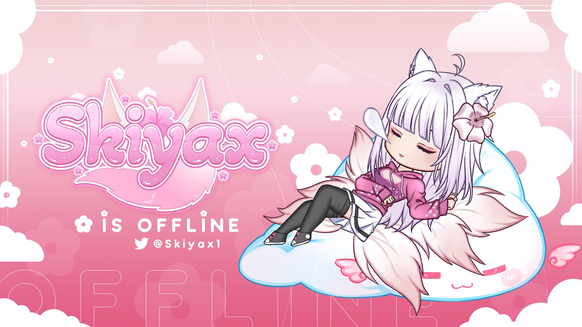 Skiyax banner