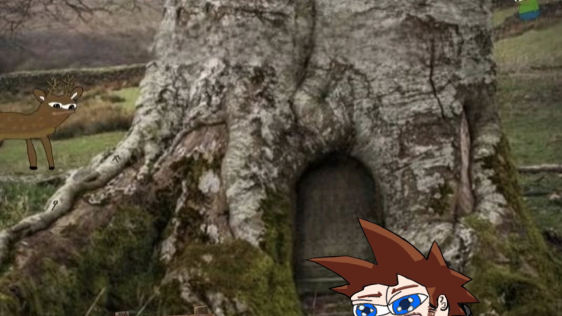 SleepCo_ banner
