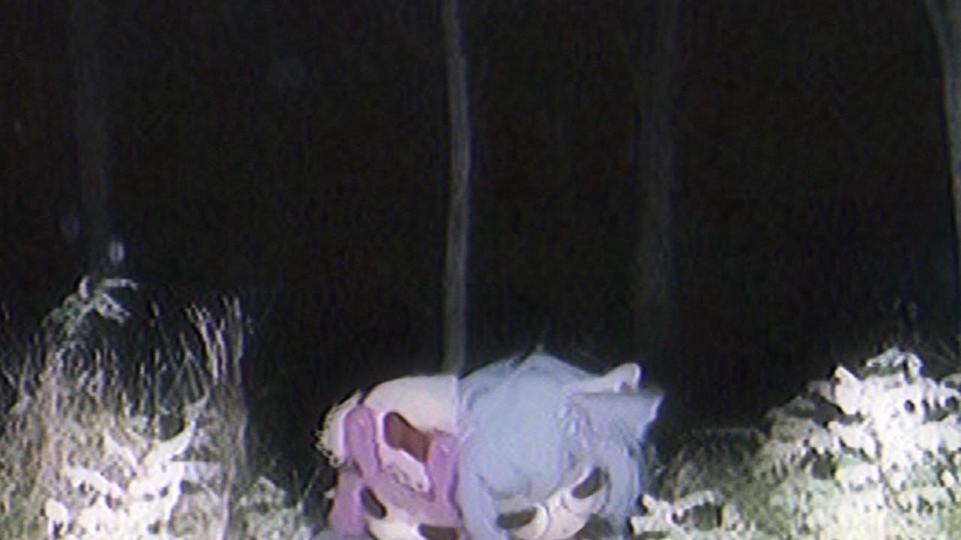 sleepiebug banner